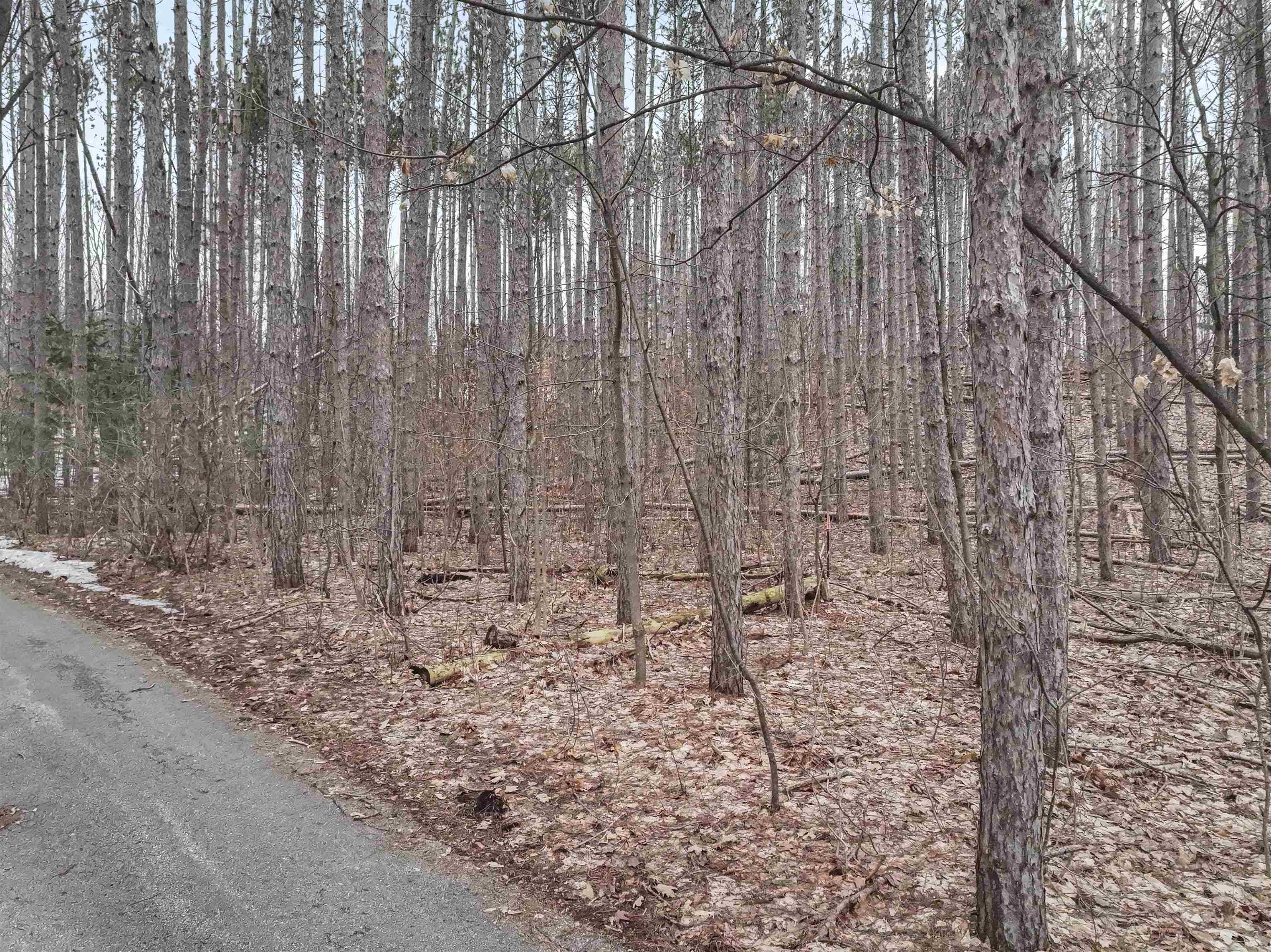 0.65 acres Barnes Road photo 6