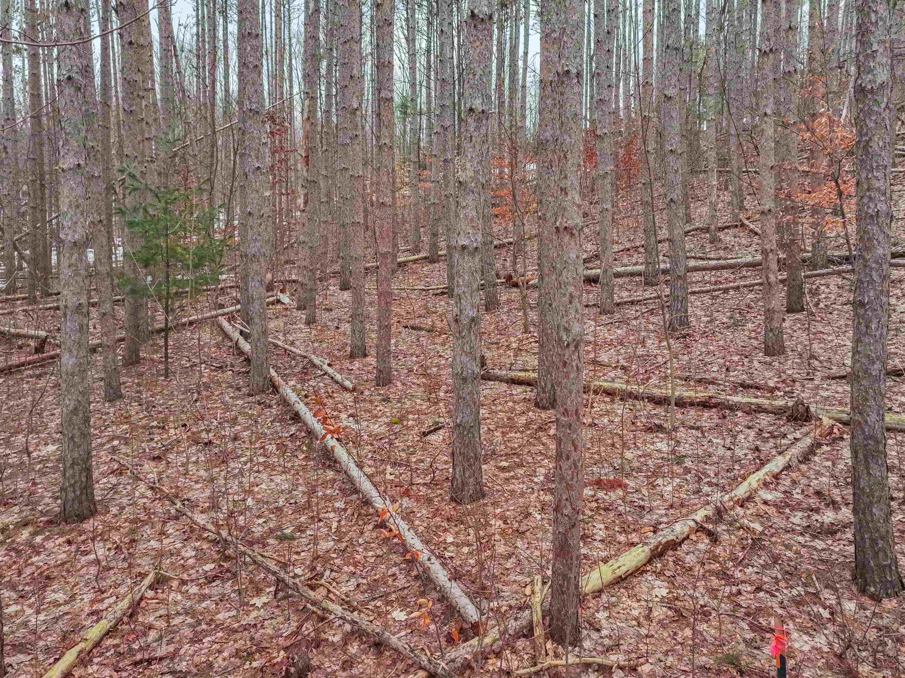 0.65 acres Barnes Road photo 7