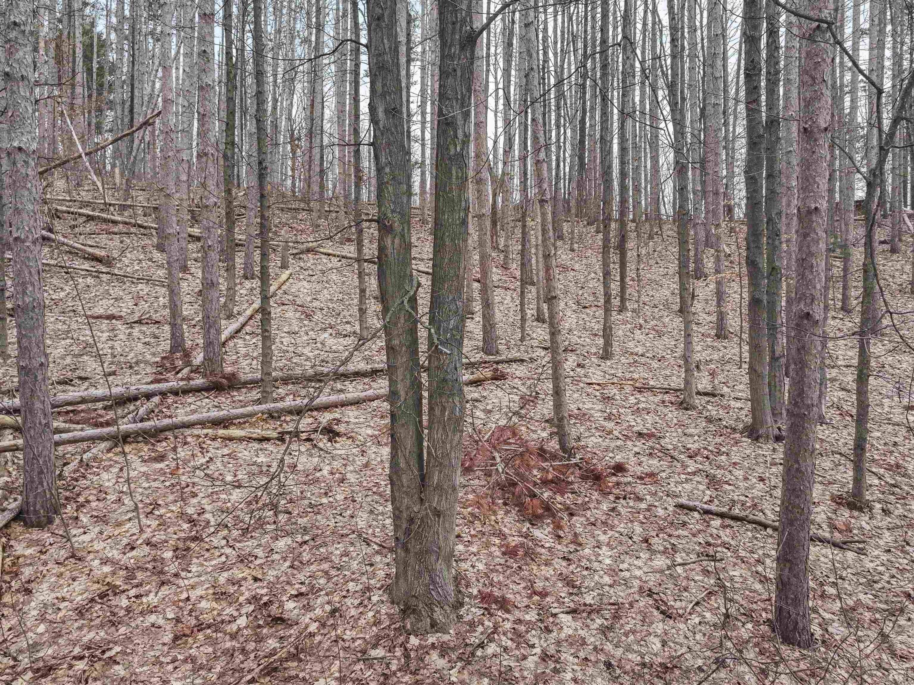 0.65 acres Barnes Road photo 8