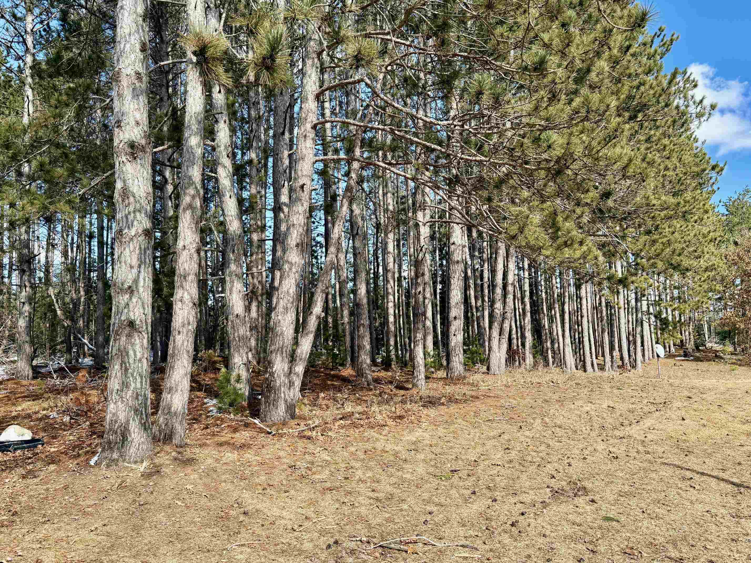 21238 Lakola Road, Tustin, MI, 49688