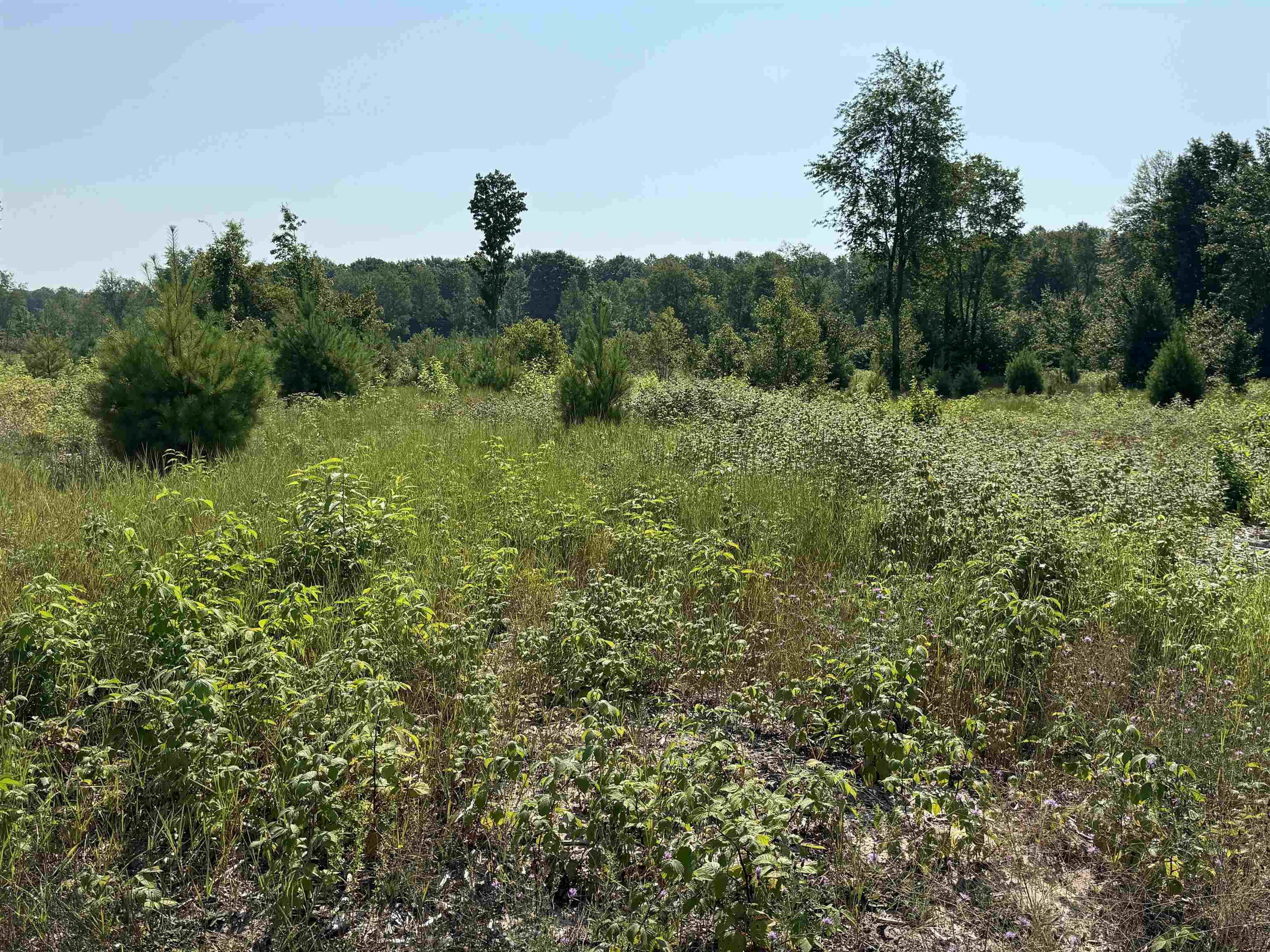 Picture 7