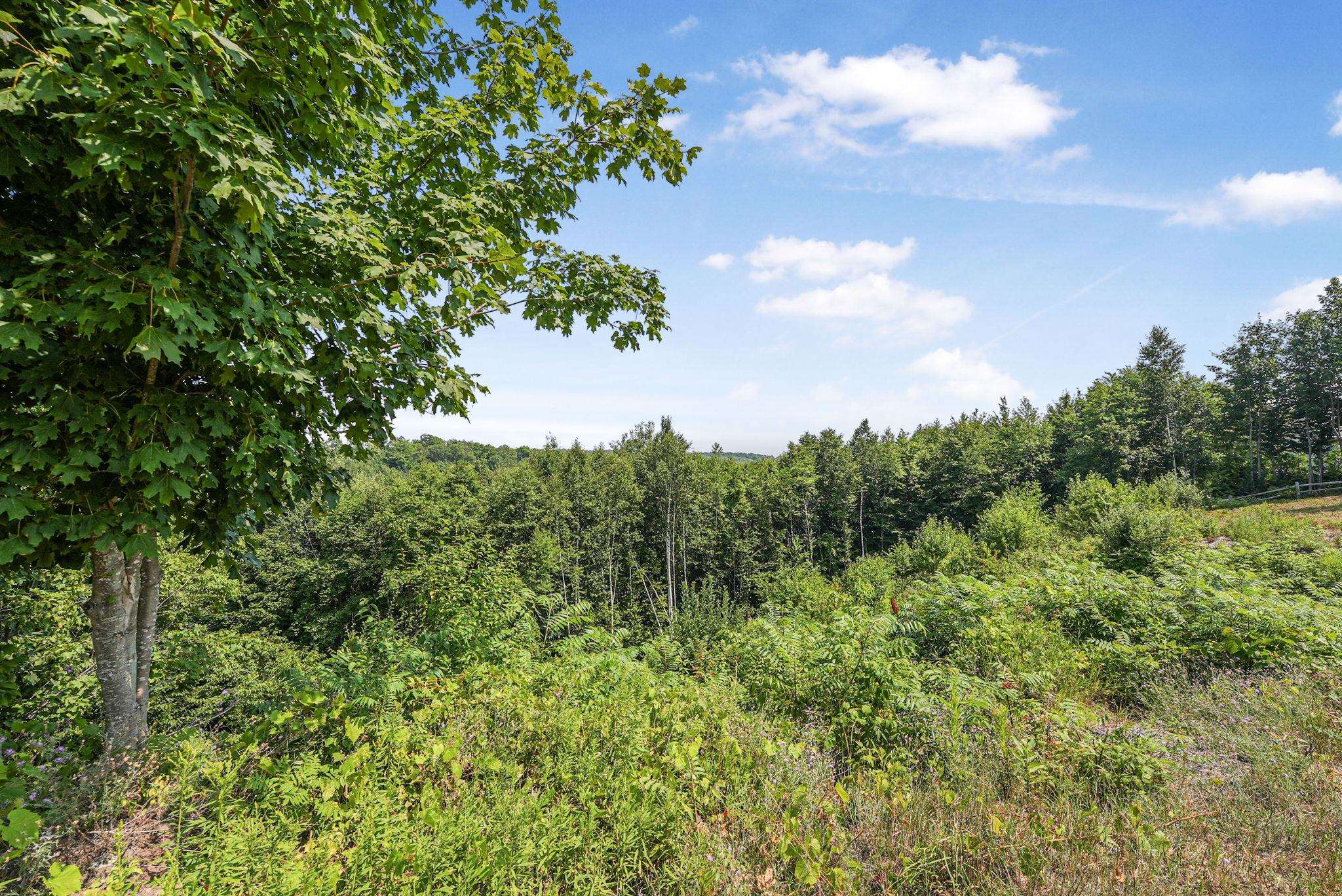 1912 N Blue Water Court Lot: 23 photo 14