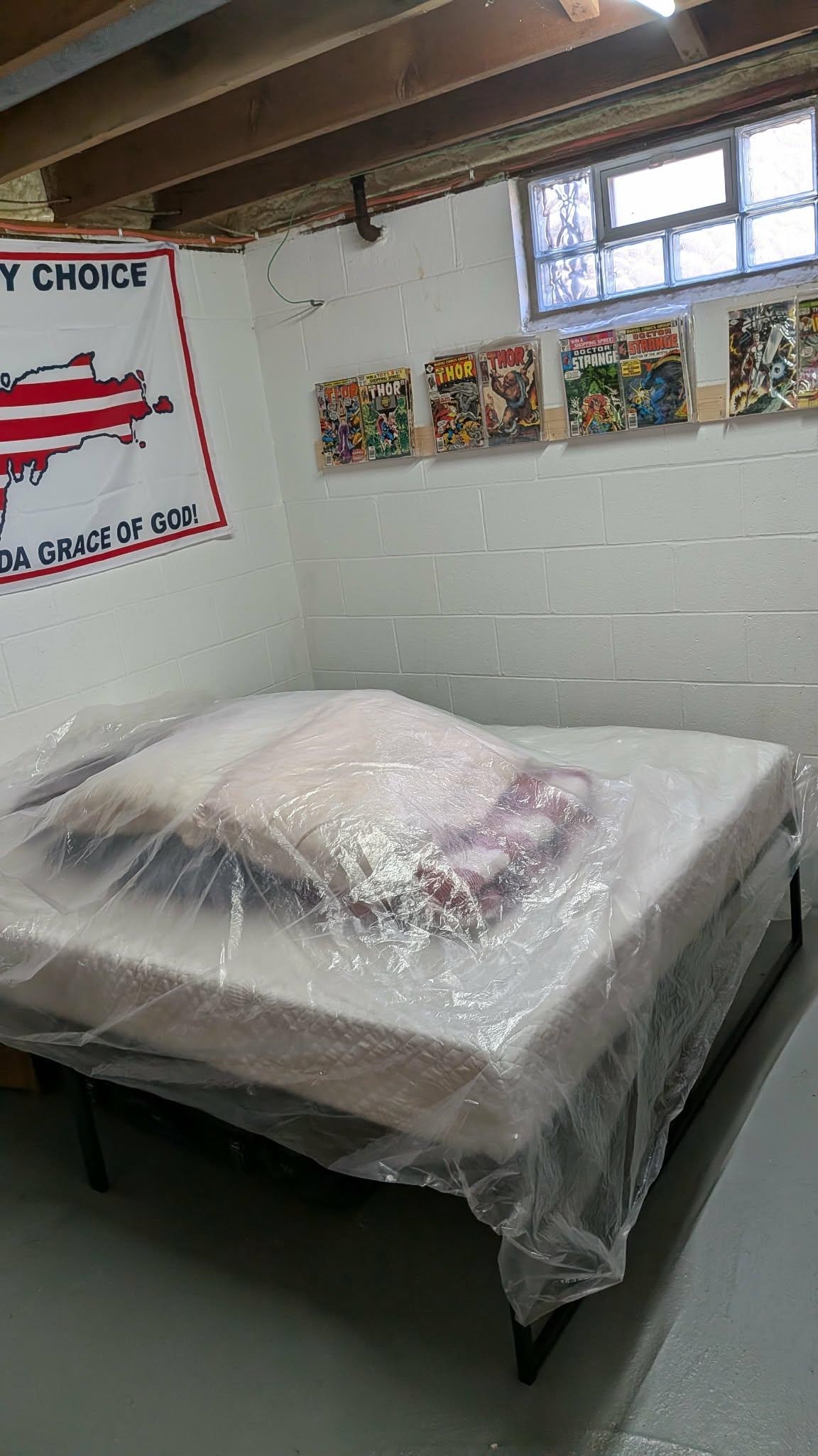 3741 S Shepherd Road, Mount Pleasant, MI, 48858