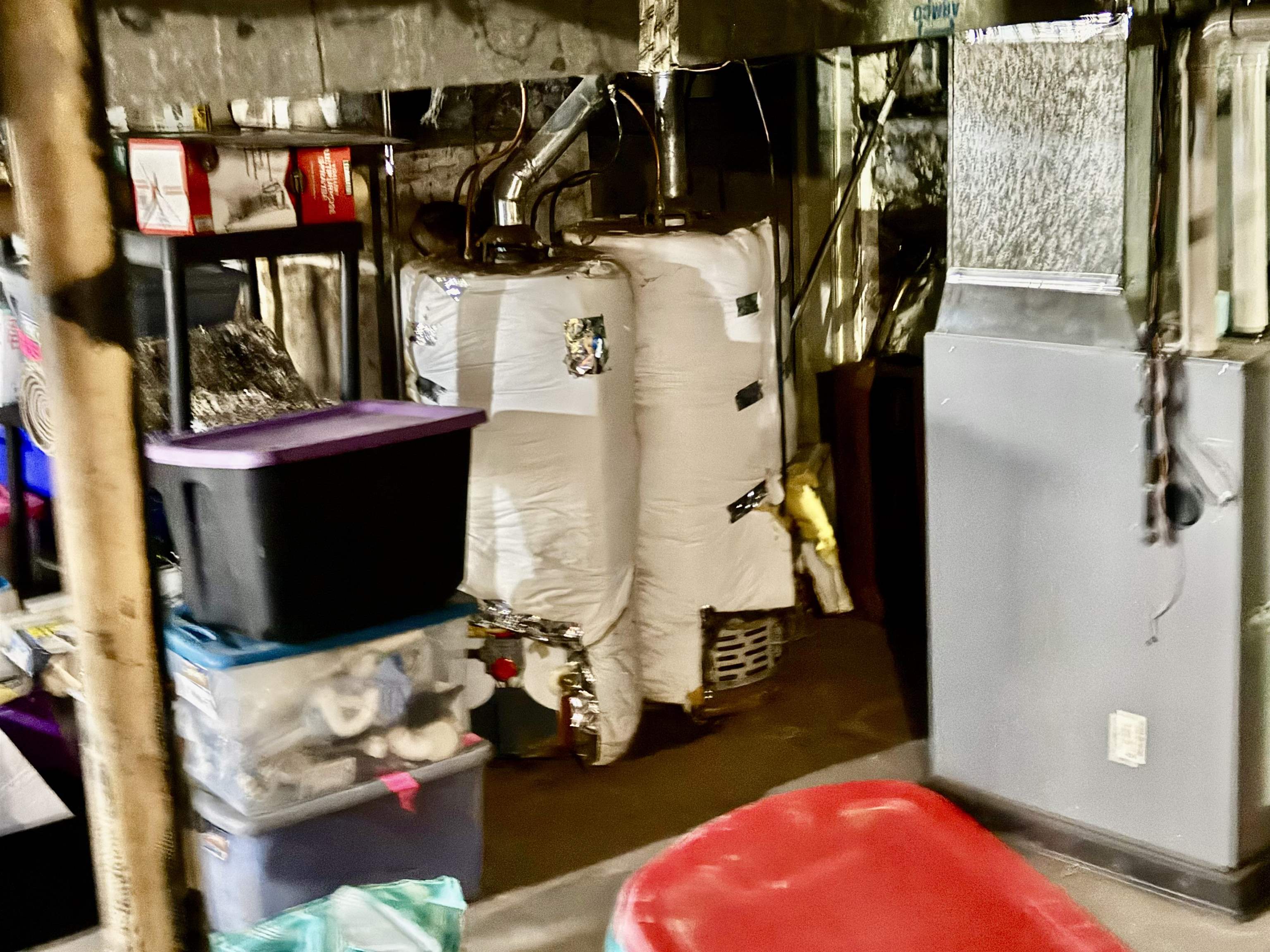 Picture 21