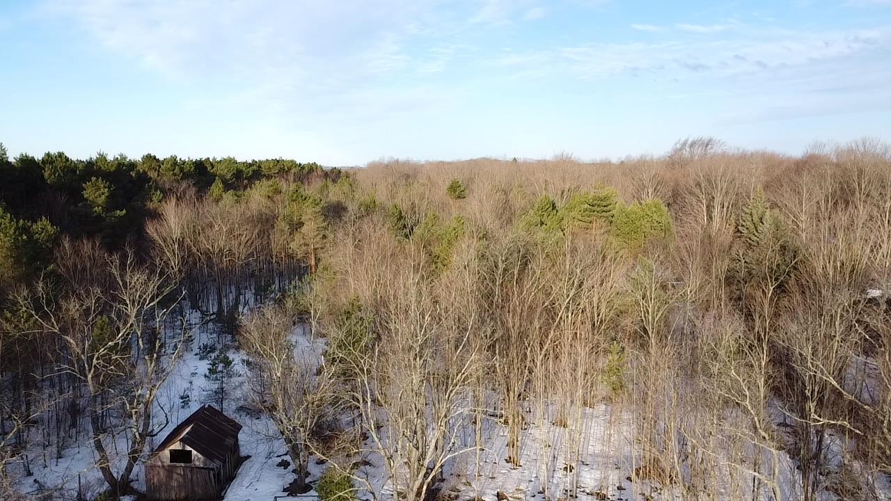 5766 Wallaker Road, Benzonia, MI, 49616