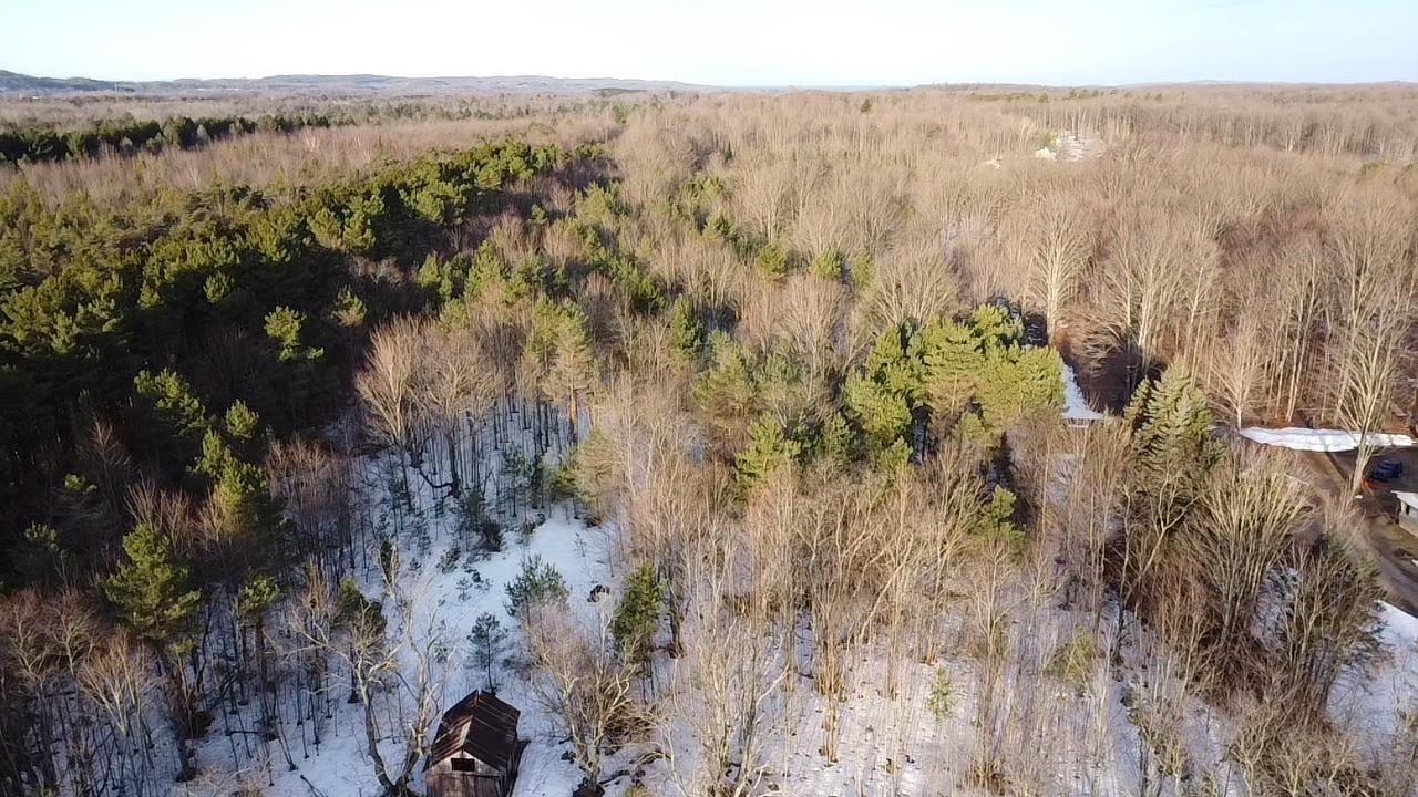 5766 Wallaker Road, Benzonia, MI, 49616