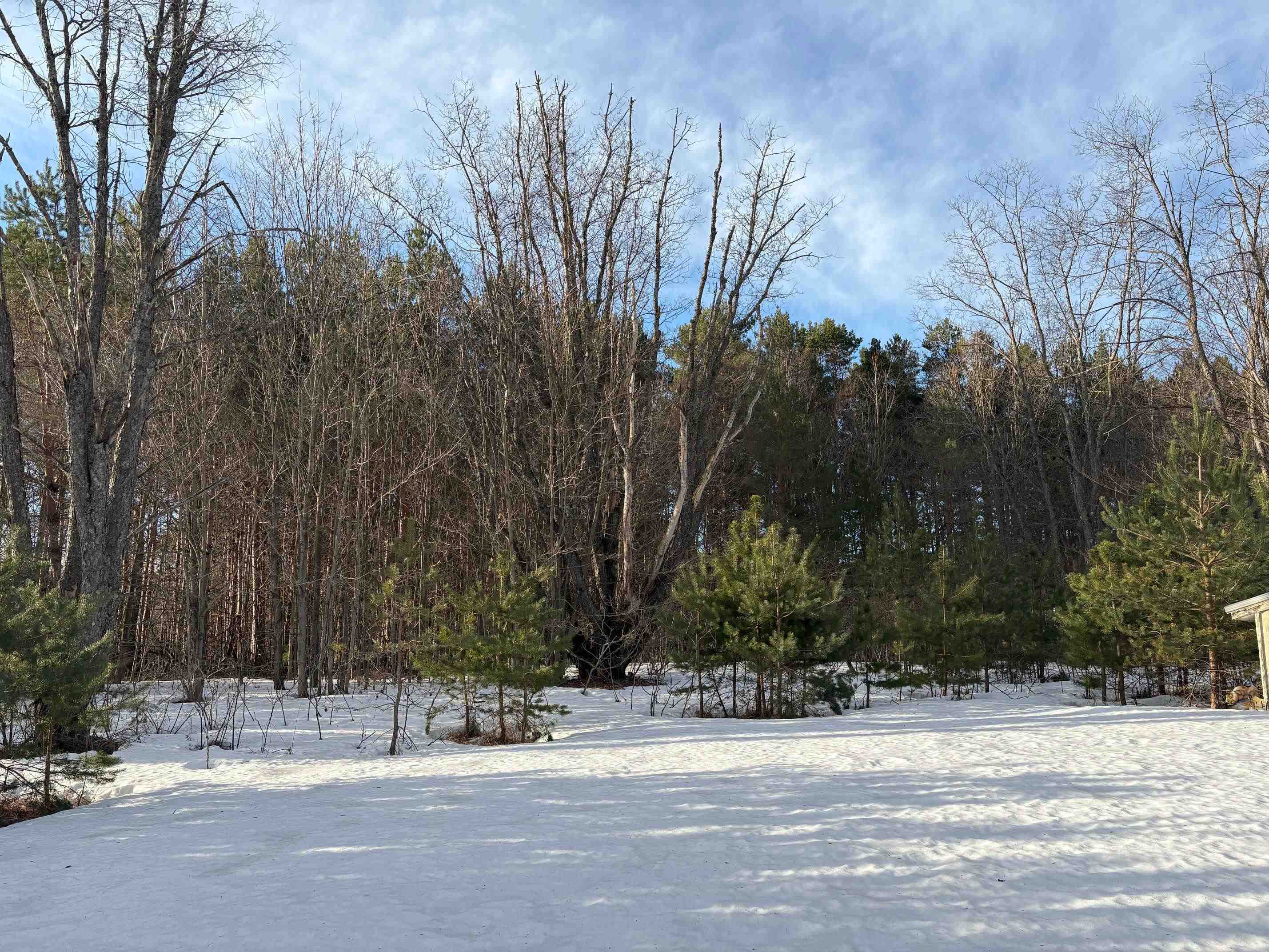 5766 Wallaker Road, Benzonia, MI, 49616