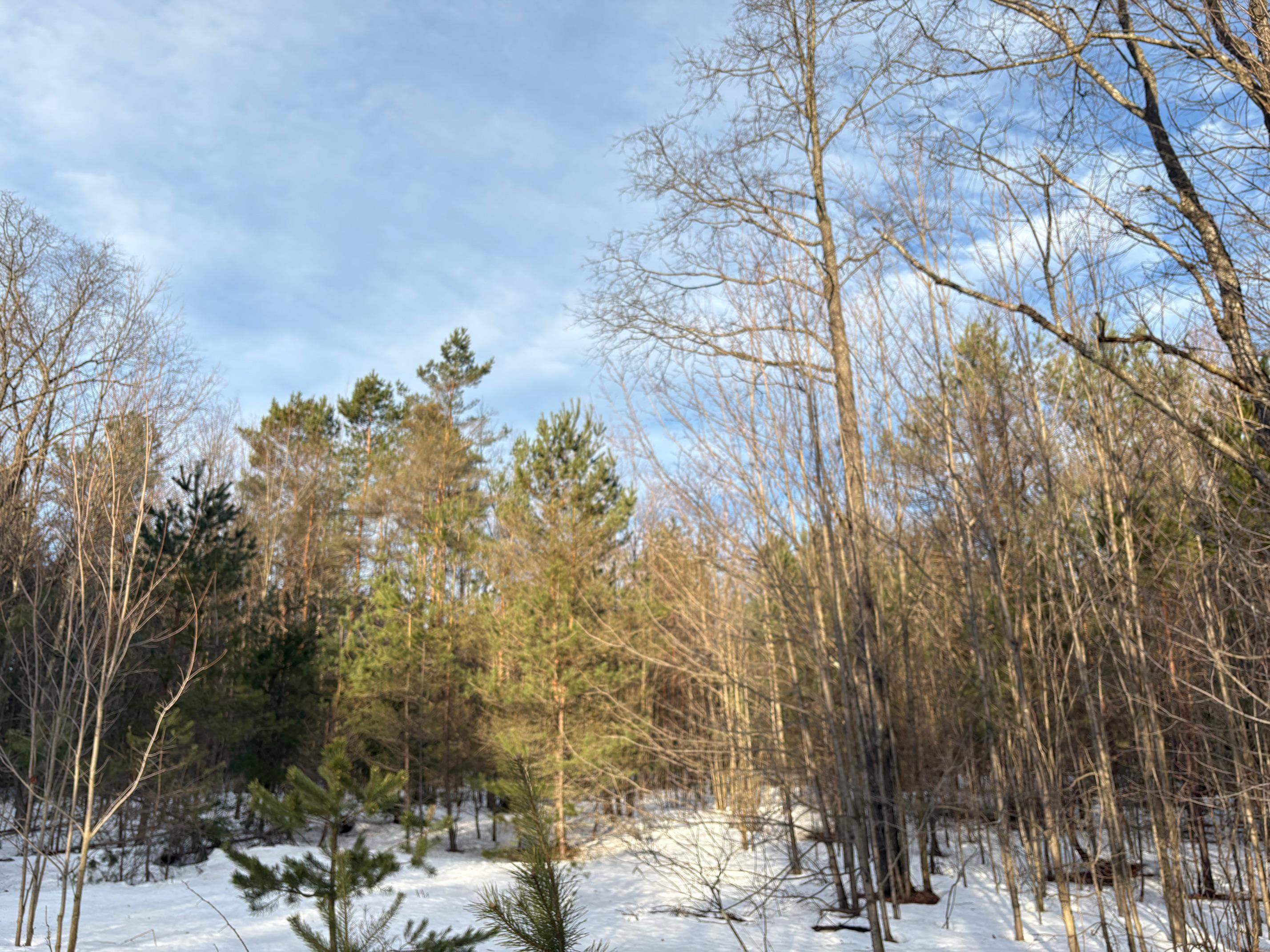 5766 Wallaker Road, Benzonia, MI, 49616