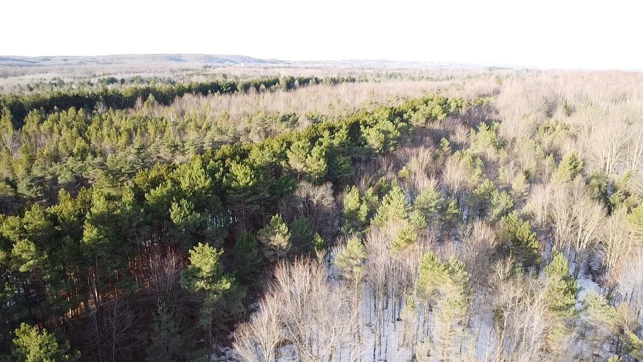 5766 Wallaker Road, Benzonia, MI, 49616