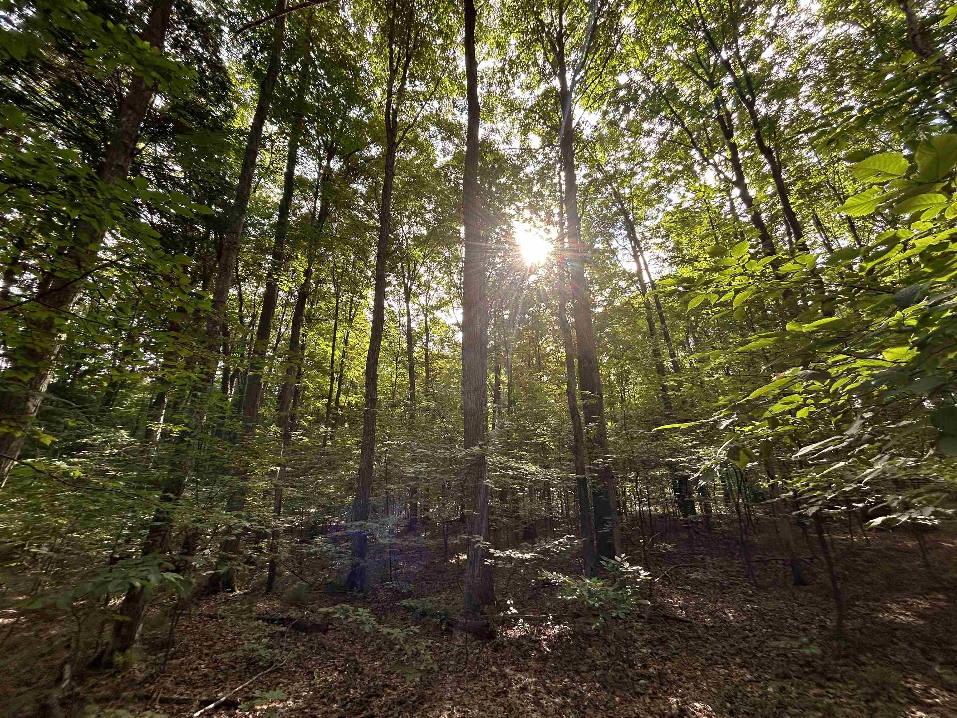 700 E Russell Road, Tecumseh, MI, 49286