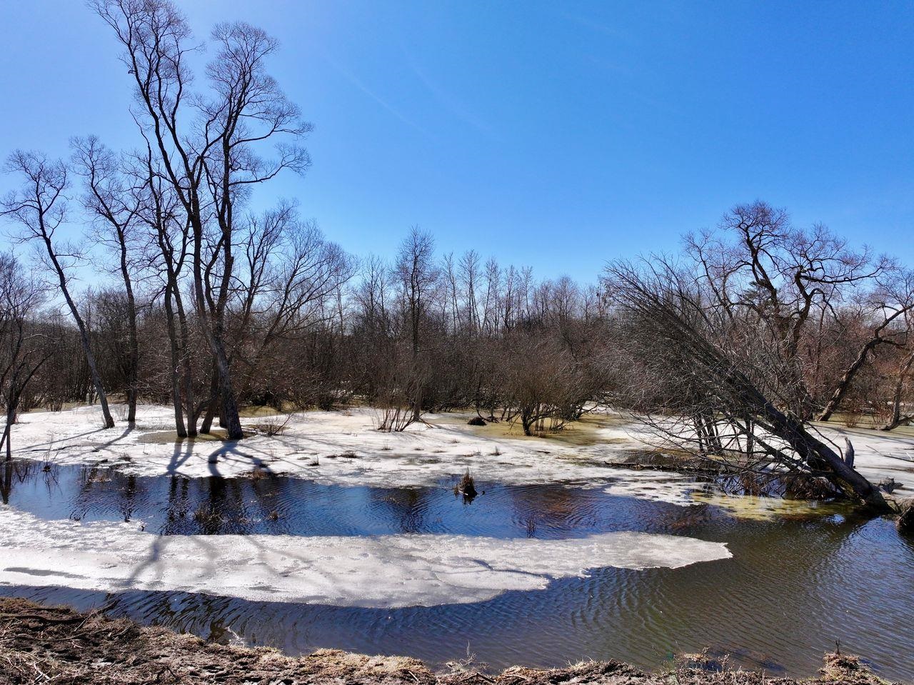 40 ACRES 190th Avenue, Leroy, MI, 49655