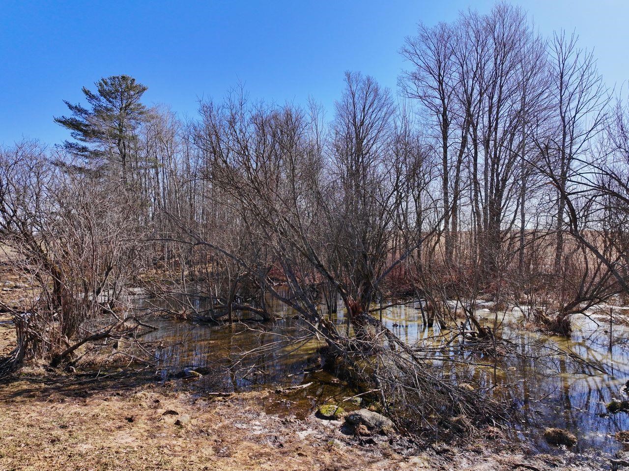 40 ACRES 190th Avenue, Leroy, MI, 49655