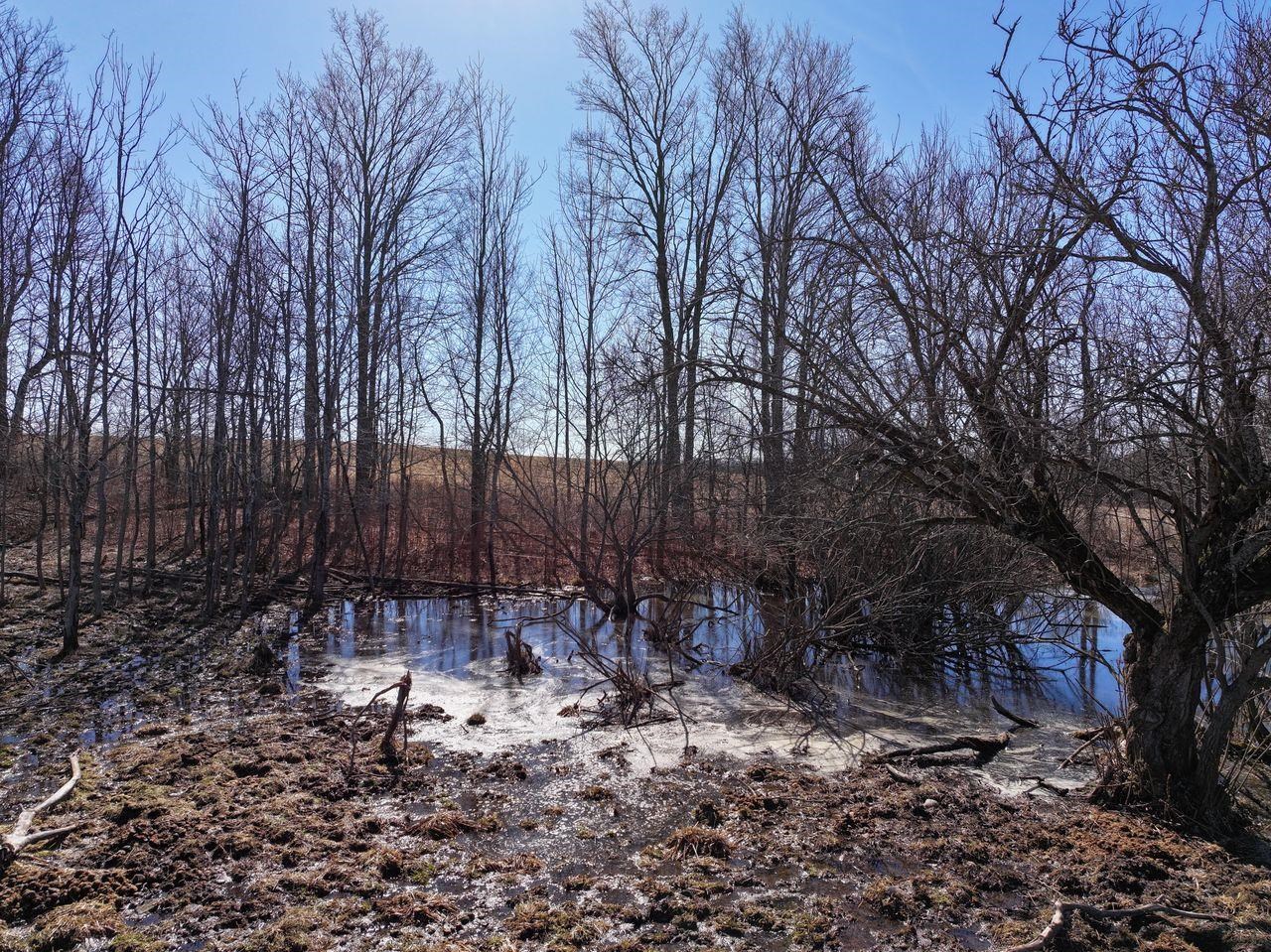 40 ACRES 190th Avenue, Leroy, MI, 49655