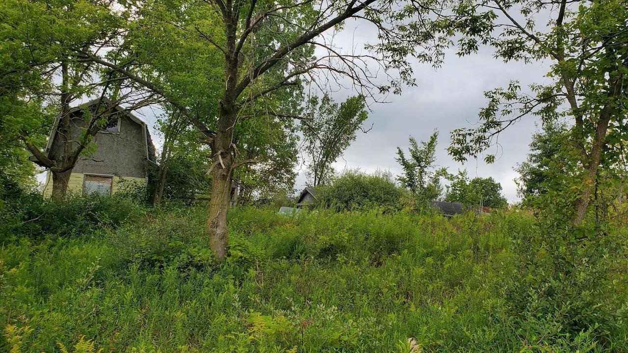 2791 E Remick Road, Shepherd, MI, 48883