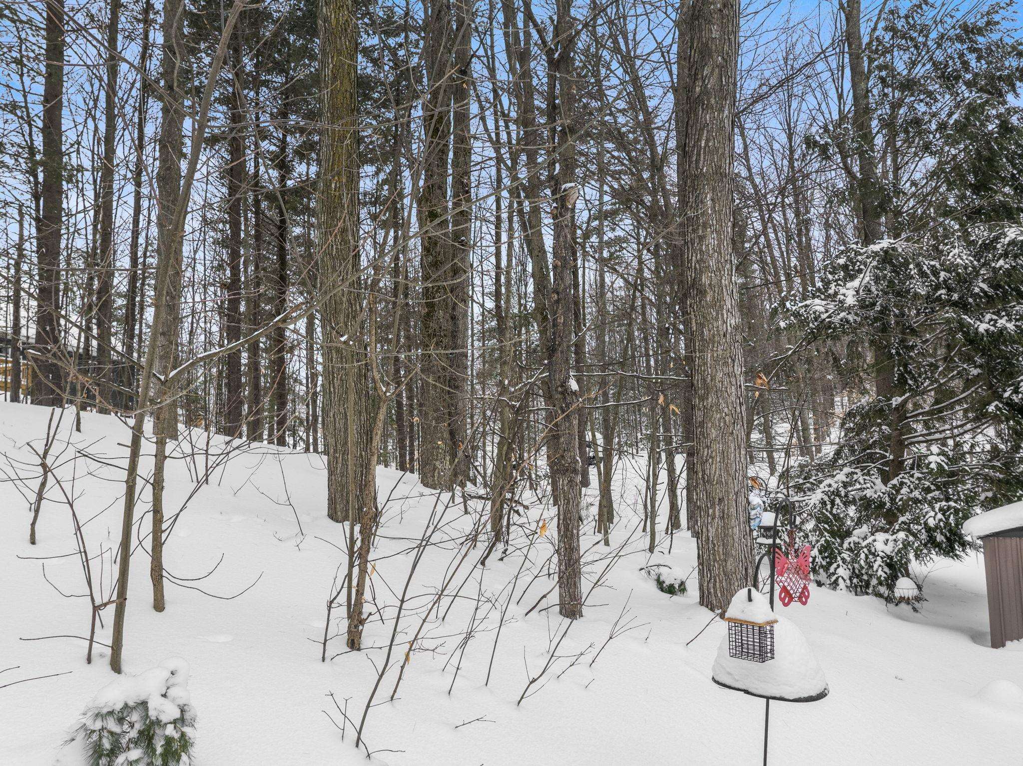 852 Eden Street, Kingsley, MI, 49649