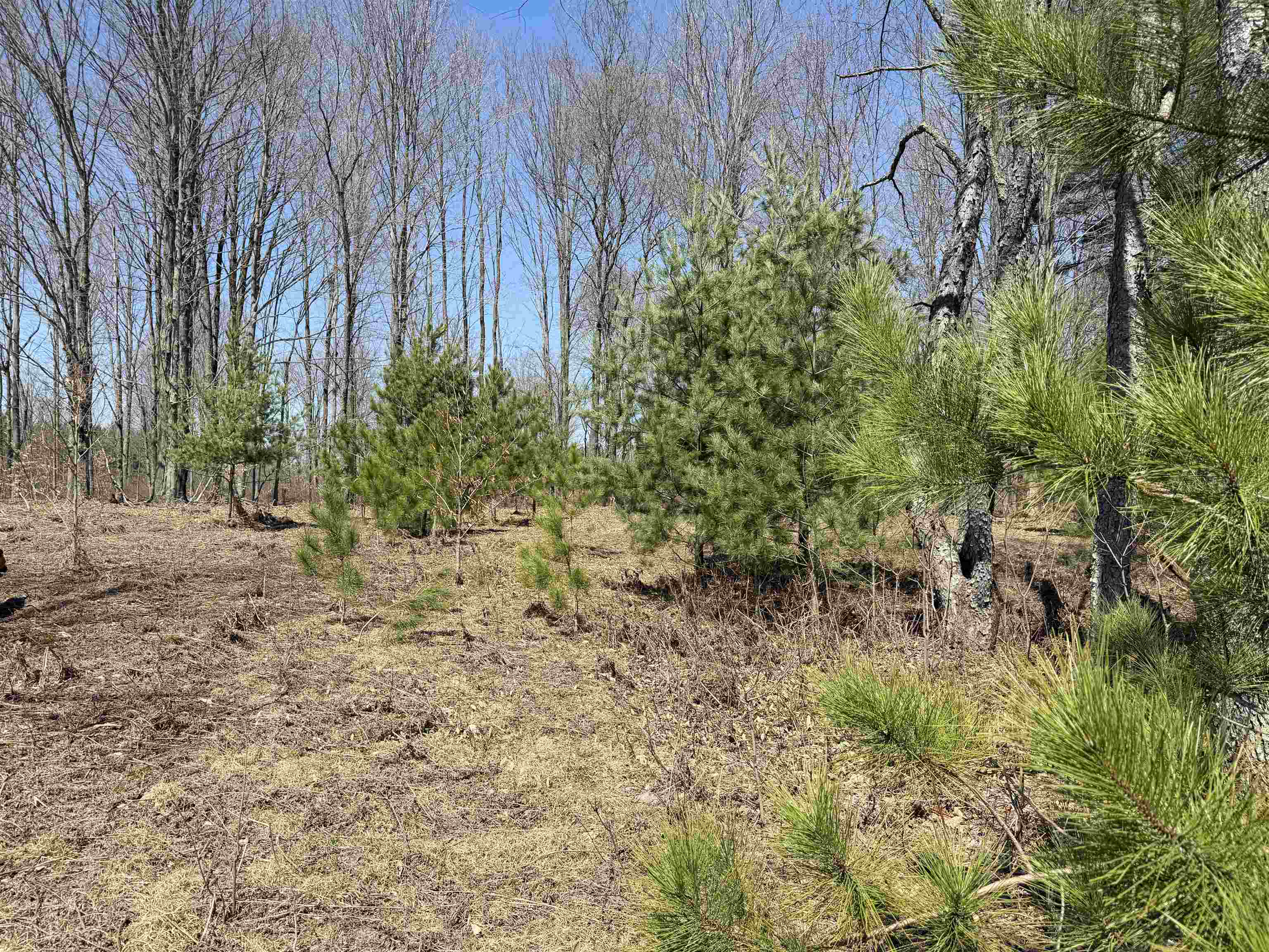 1st image of 00 Landis Rd, Thompsonville, MI 49683 | MLS# 78080066286