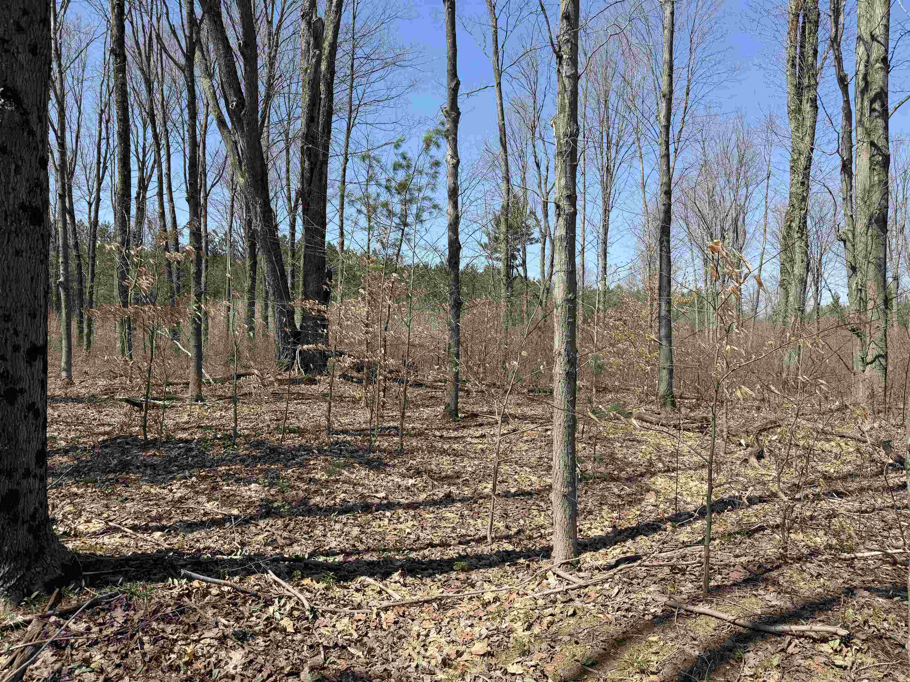 2nd image of 00 Landis Rd, Thompsonville, MI 49683 | MLS# 78080066286