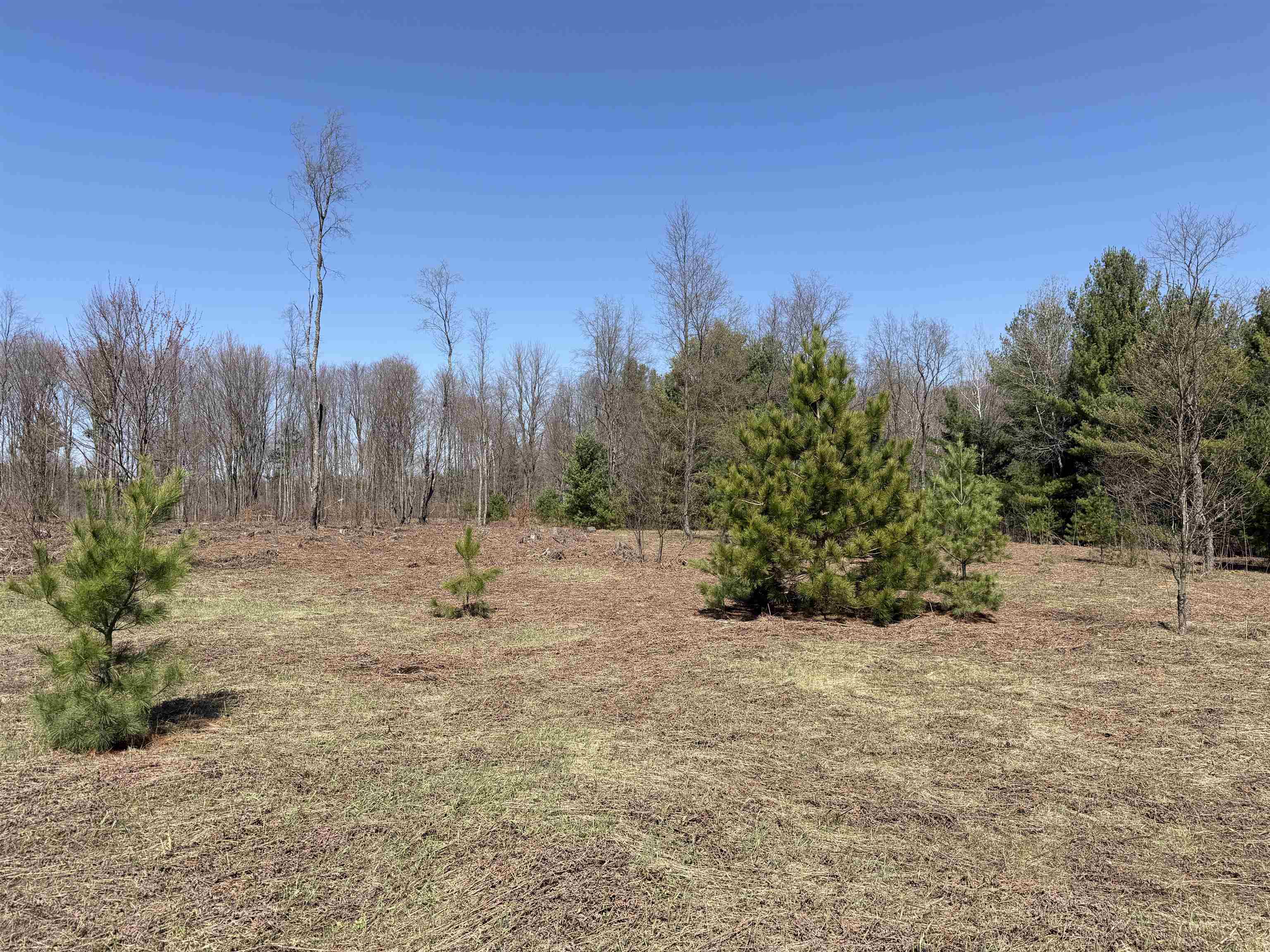 3rd image of 00 Landis Rd, Thompsonville, MI 49683 | MLS# 78080066286
