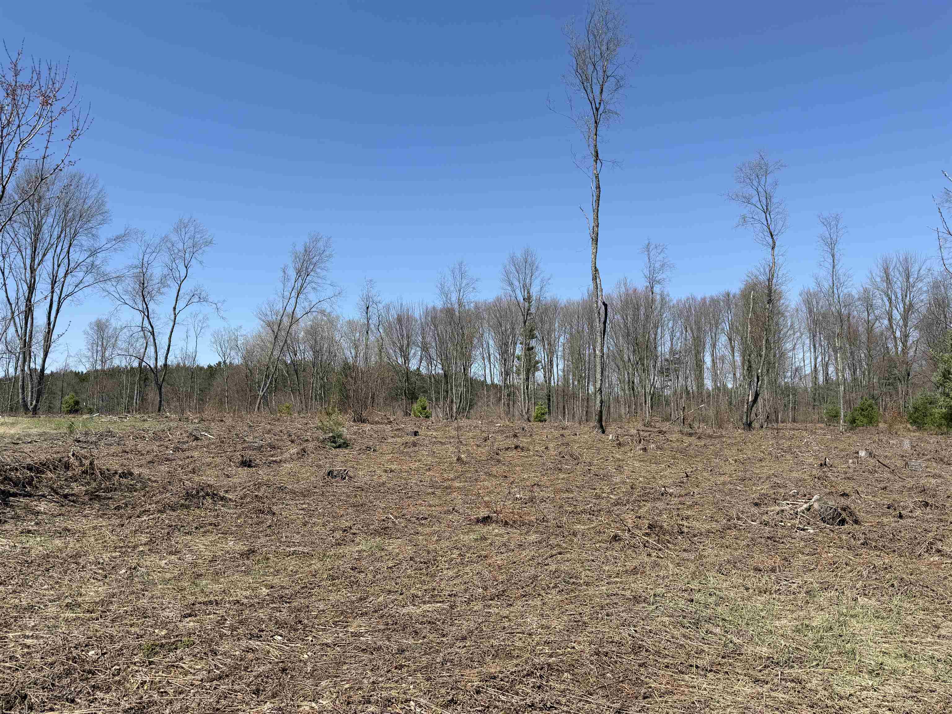 26th image of 00 Landis Rd, Thompsonville, MI 49683 | MLS# 78080066286