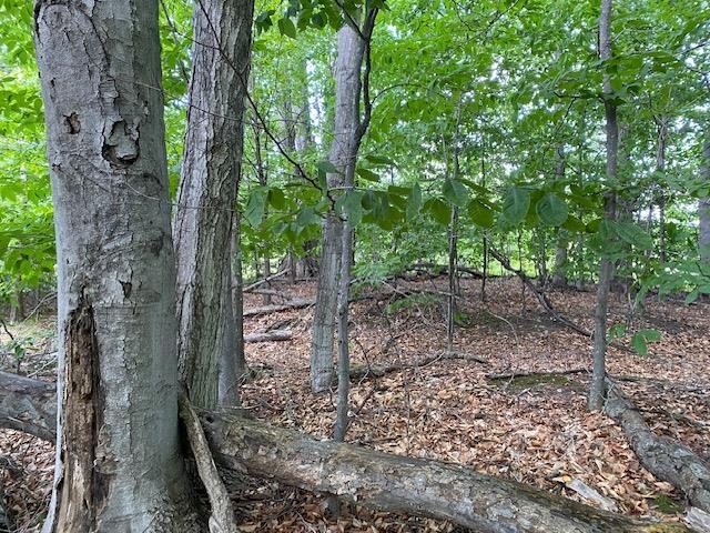 UNIT&nbsp;7 Mooney Way, Kewadin, MI, 49648