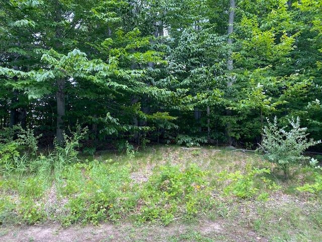 UNIT&nbsp;7 Mooney Way, Kewadin, MI, 49648