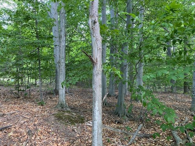 UNIT&nbsp;7 Mooney Way, Kewadin, MI, 49648