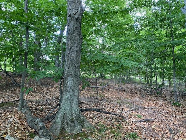 UNIT&nbsp;7 Mooney Way, Kewadin, MI, 49648