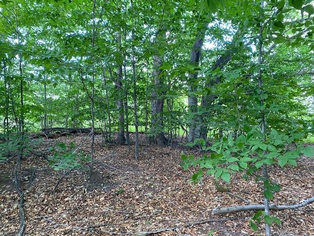 UNIT&nbsp;7 Mooney Way, Kewadin, MI, 49648