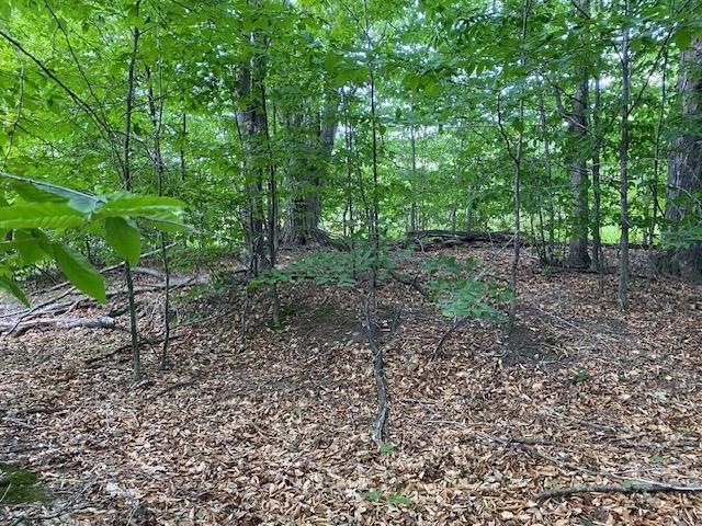 UNIT&nbsp;7 Mooney Way, Kewadin, MI, 49648