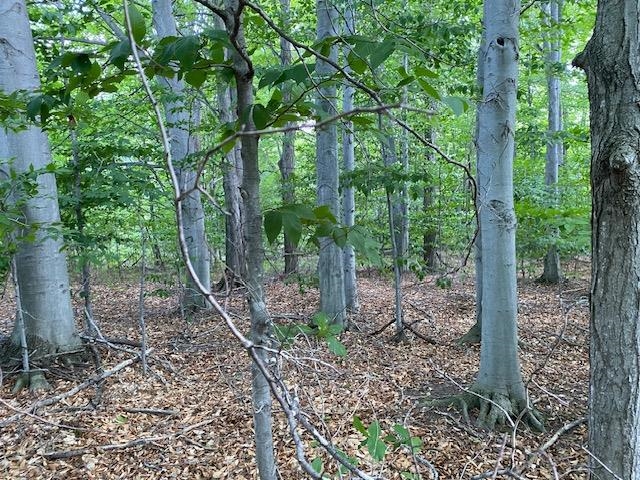 UNIT&nbsp;7 Mooney Way, Kewadin, MI, 49648