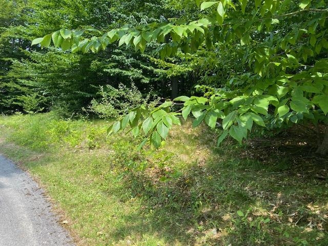 UNIT&nbsp;7 Mooney Way, Kewadin, MI, 49648