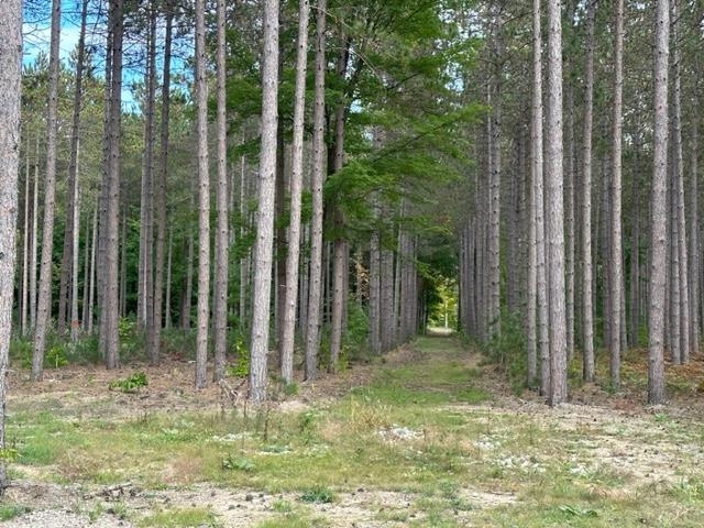 Lot 49 Cascade Trail, Traverse City, MI, 49685