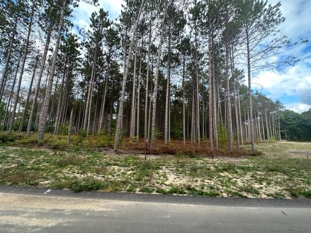 Lot 49 Cascade Trail, Traverse City, MI, 49685