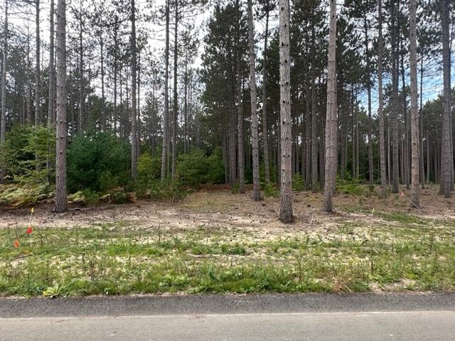 Lot 49 Cascade Trail, Traverse City, MI, 49685