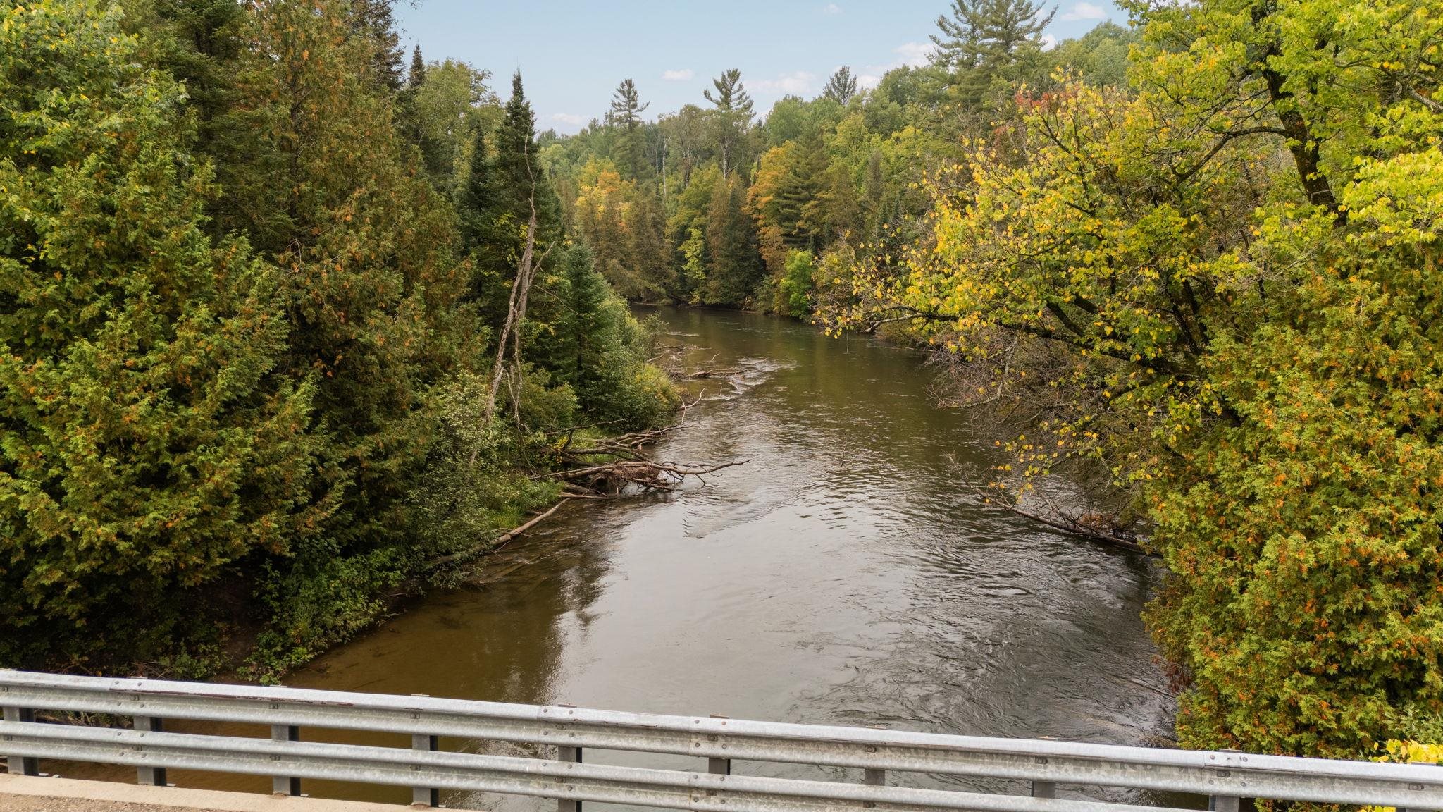 12525 SW Coster Road, Fife Lake, MI, 49633