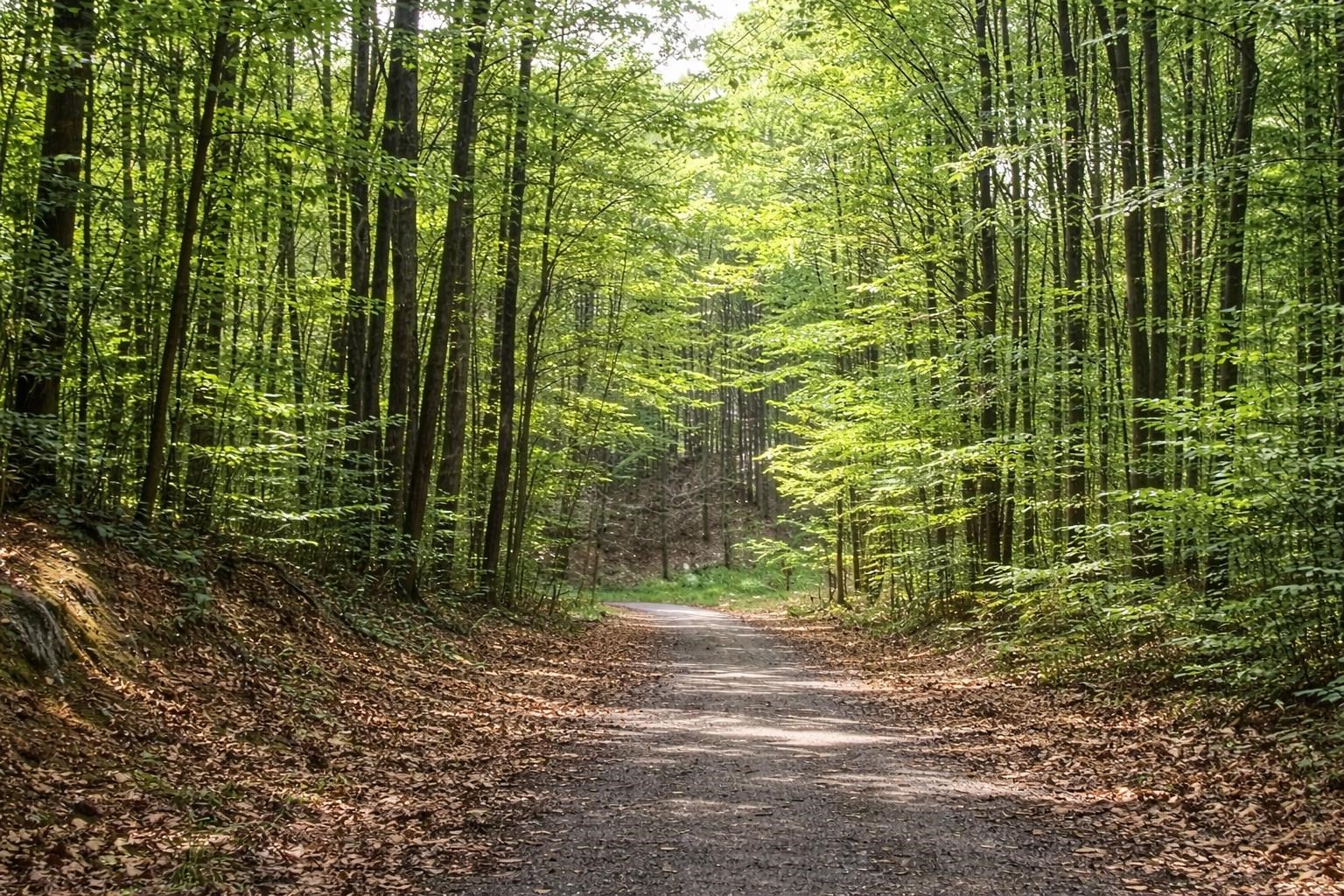 30 Heideldorf Drive, Bellaire, MI, 49615