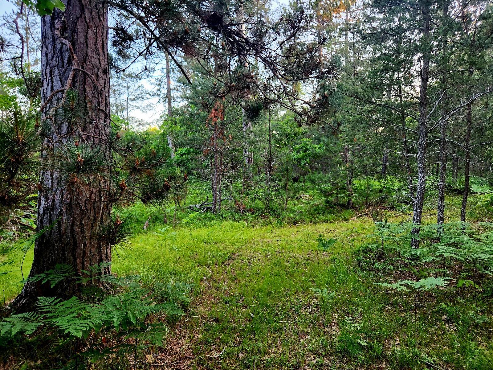 2498 W Five Mile Road, Grayling, MI, 49738