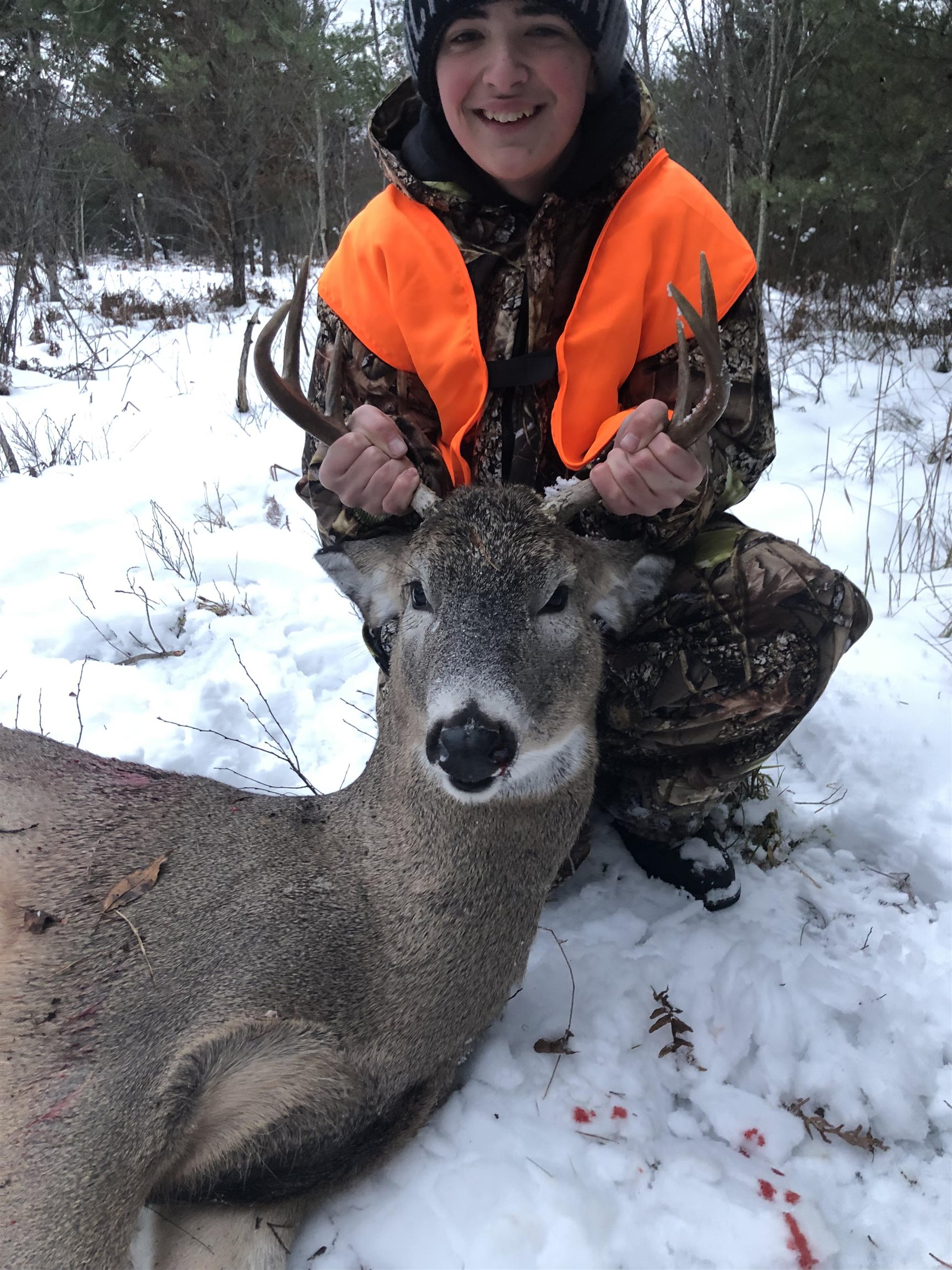 2498 W Five Mile Road, Grayling, MI, 49738