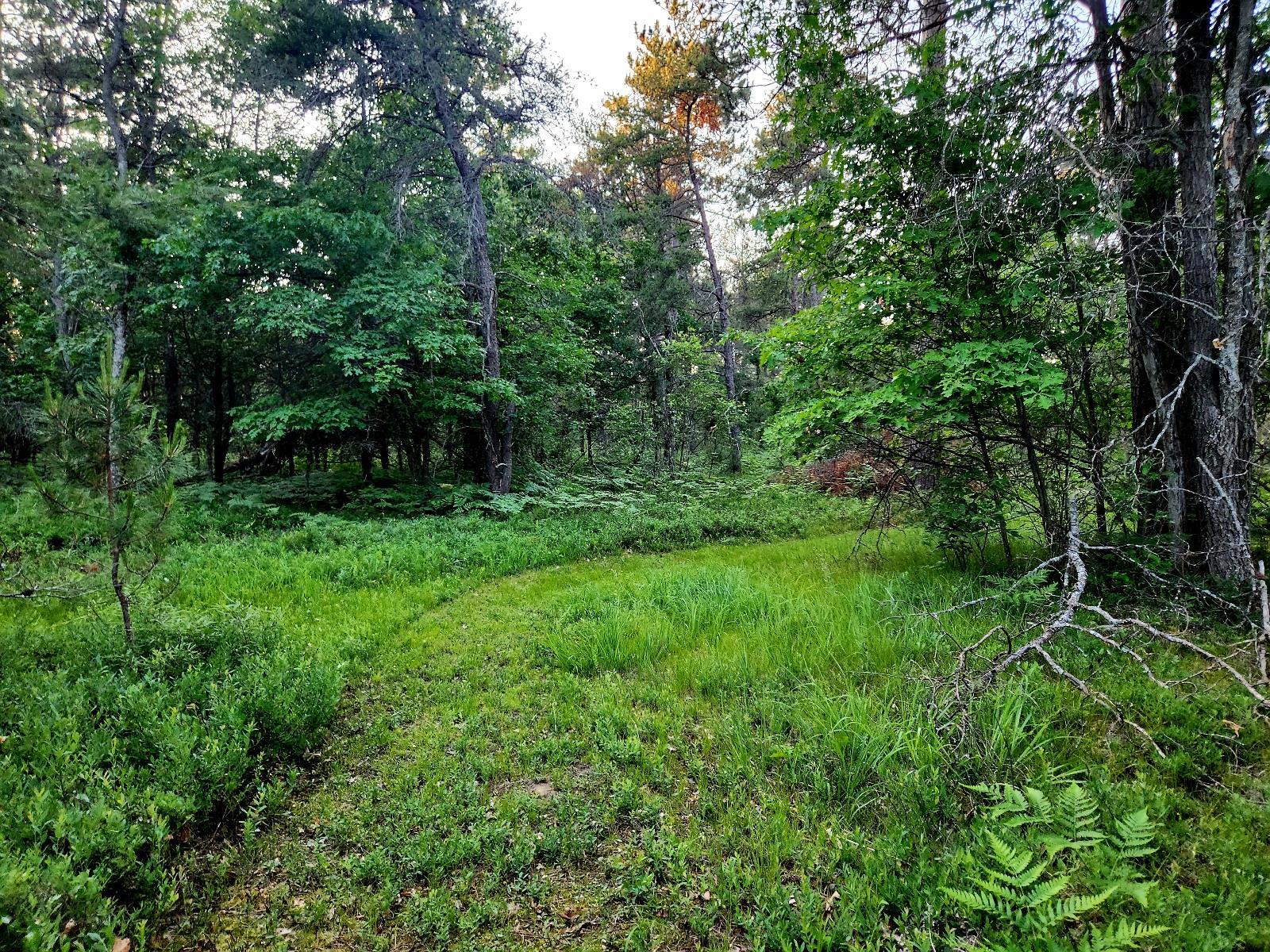 2498 W Five Mile Road, Grayling, MI, 49738