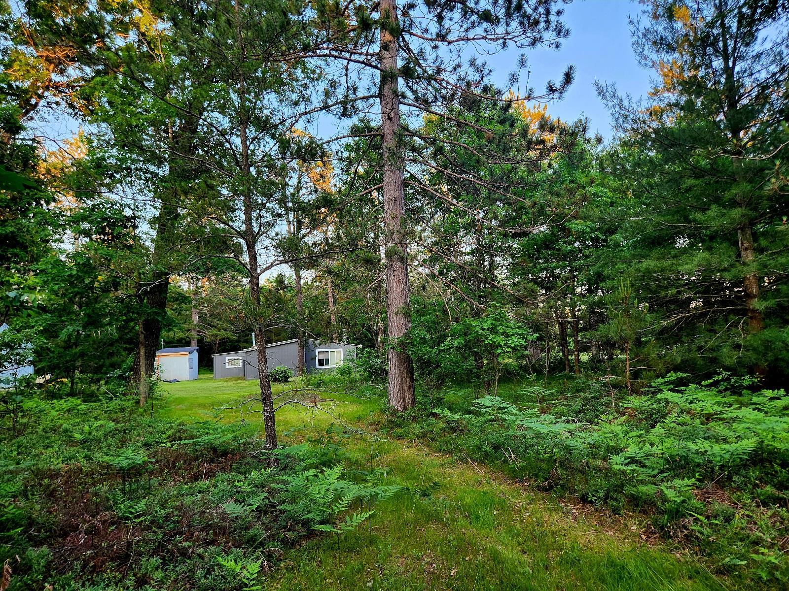 2498 W Five Mile Road, Grayling, MI, 49738