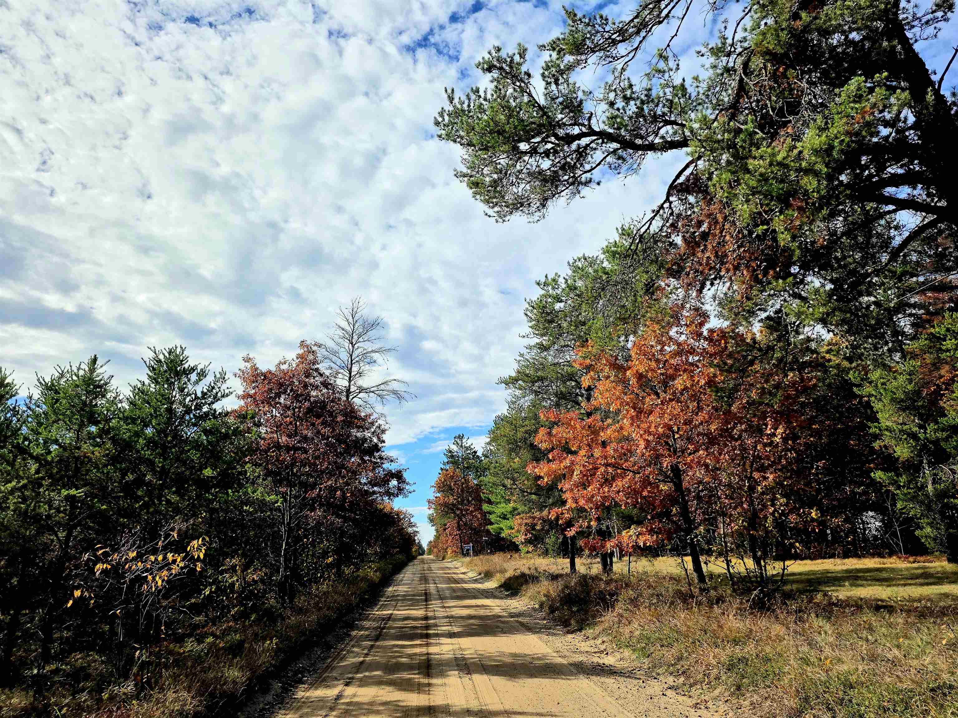 2498 W Five Mile Road, Grayling, MI, 49738