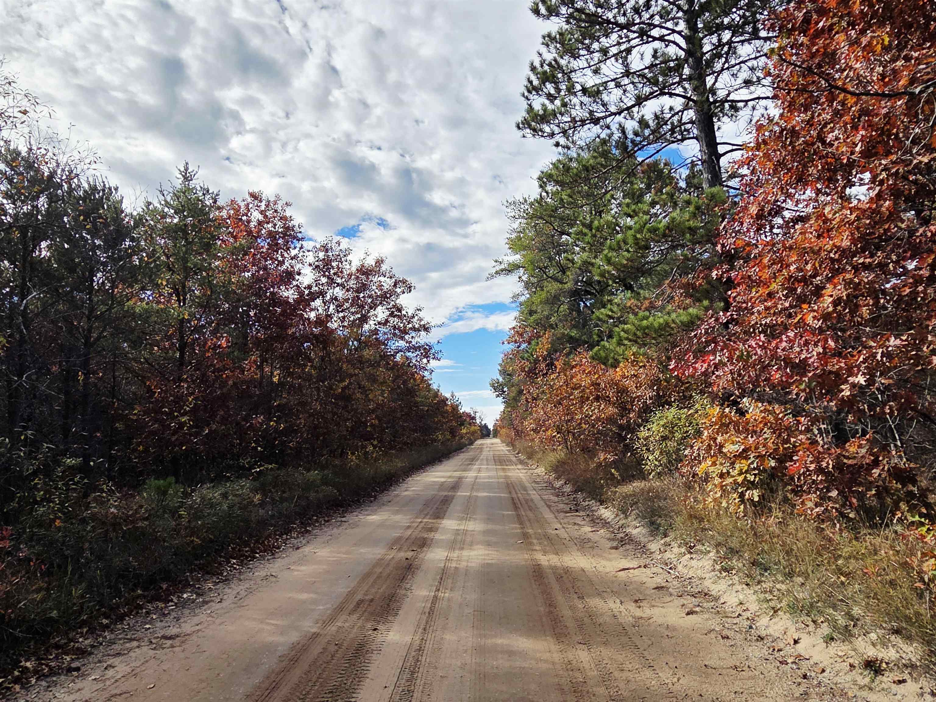 2498 W Five Mile Road, Grayling, MI, 49738