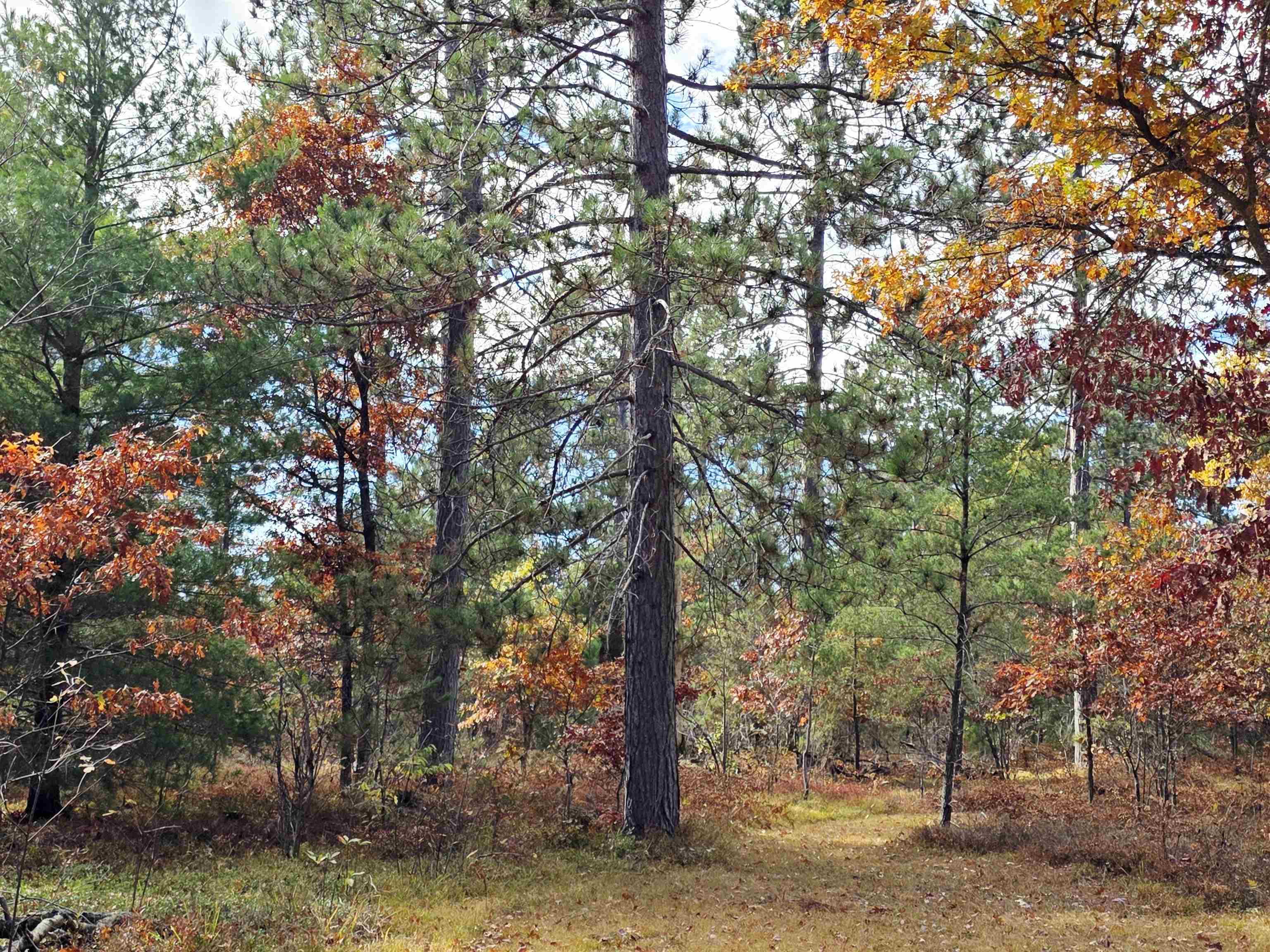 2498 W Five Mile Road, Grayling, MI, 49738