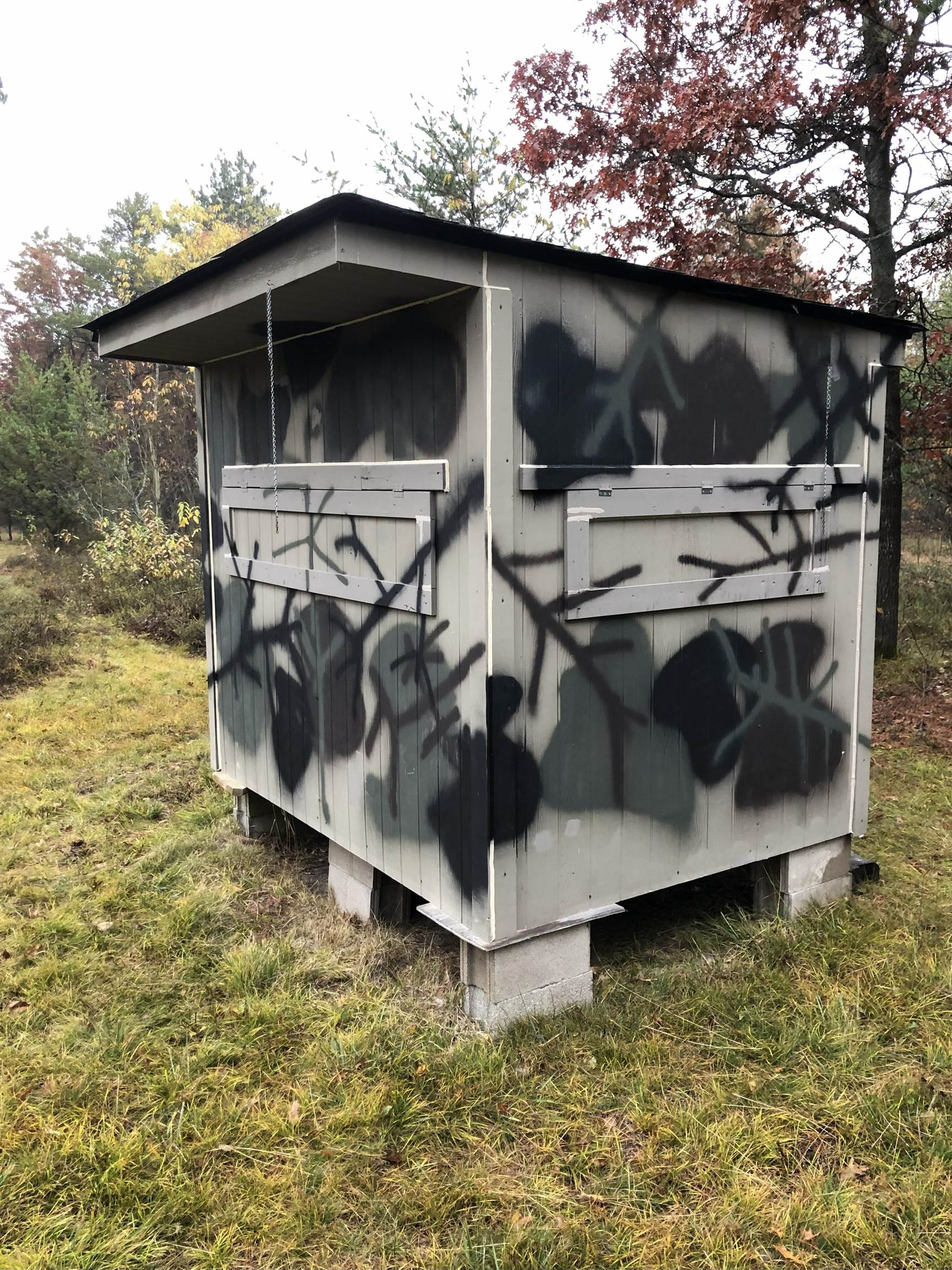 2498 W Five Mile Road, Grayling, MI, 49738