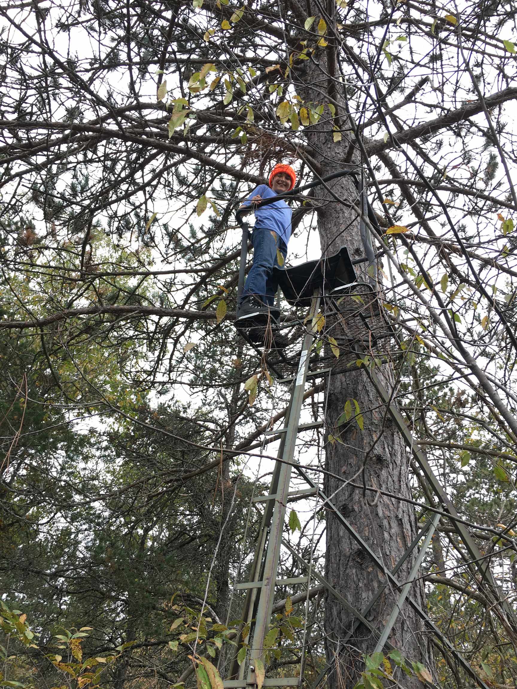 2498 W Five Mile Road, Grayling, MI, 49738