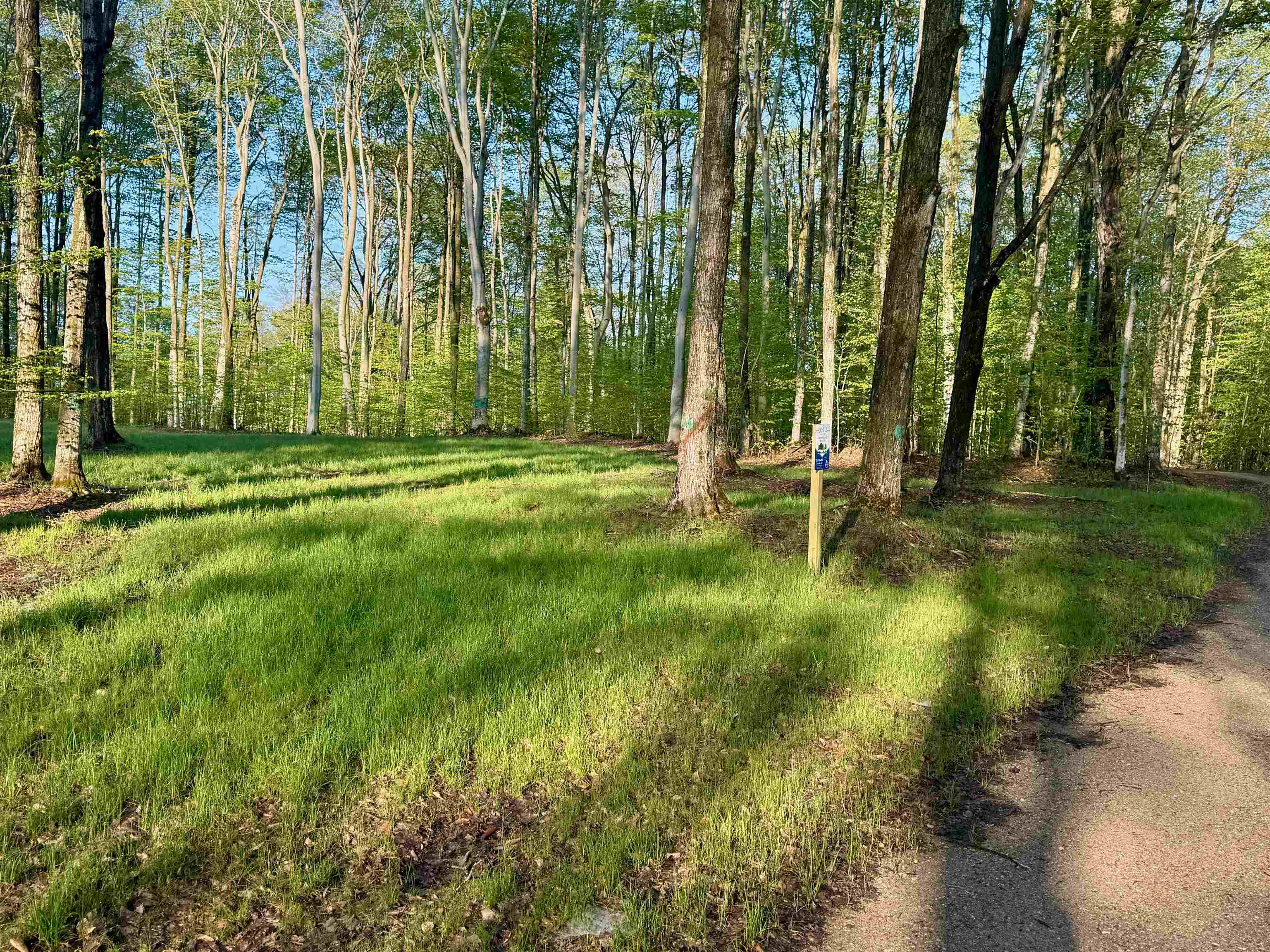 02 S Bright Road, Maple City, MI, 49664