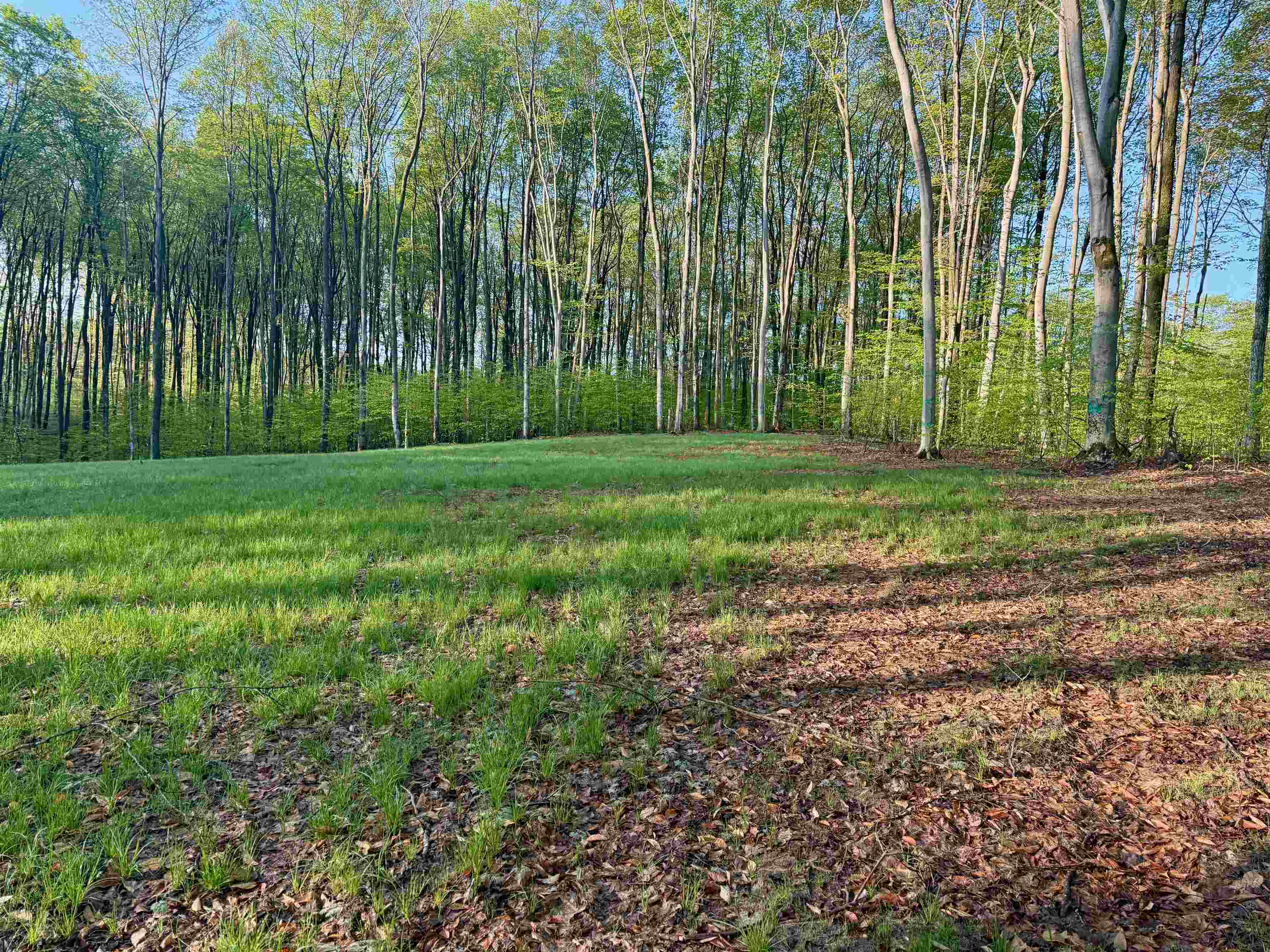 02 S Bright Road, Maple City, MI, 49664