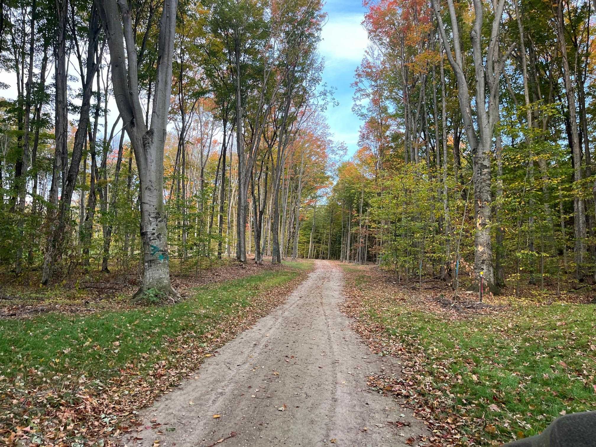 02 S Bright Road, Maple City, MI, 49664