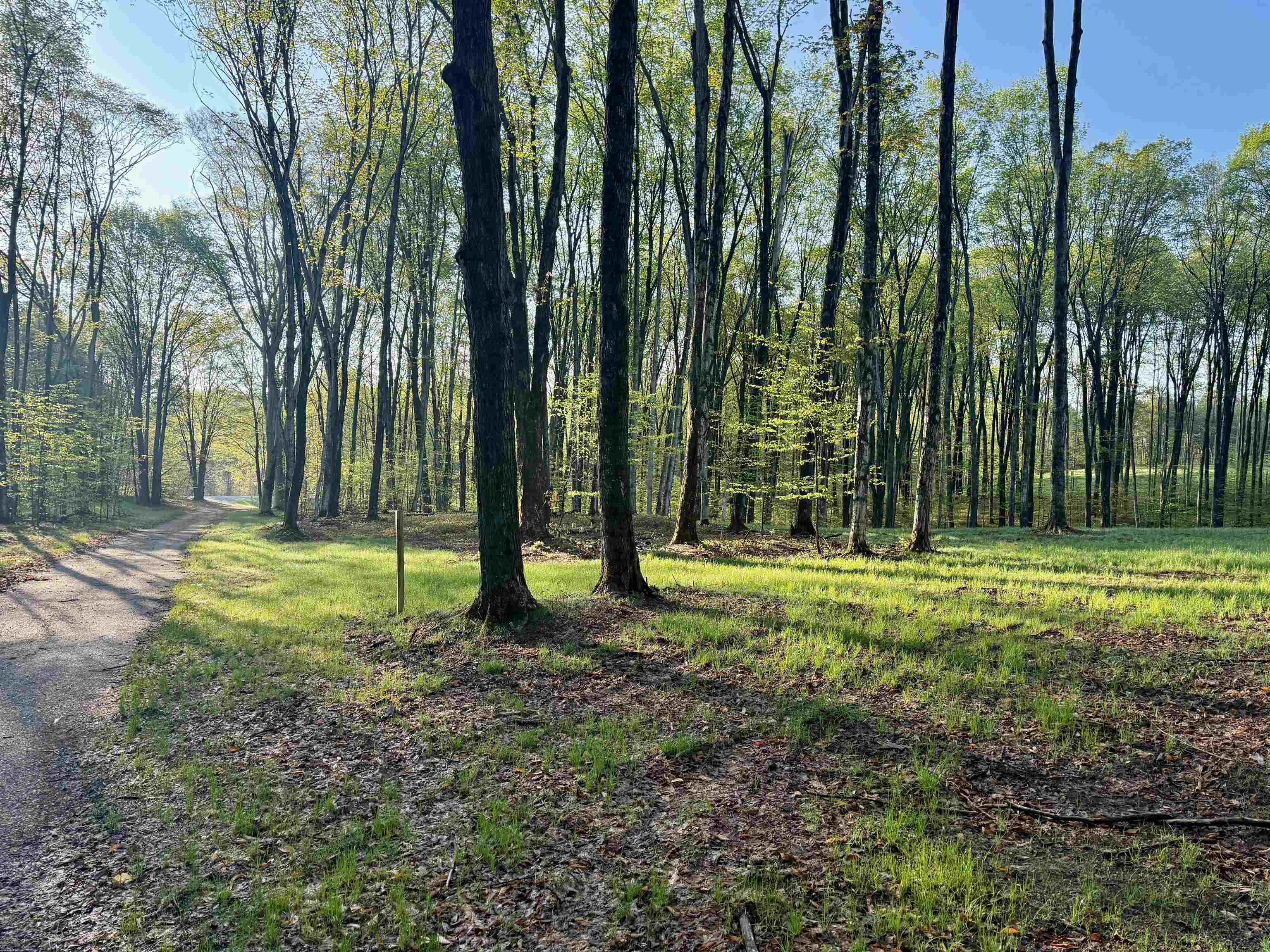 02 S Bright Road, Maple City, MI, 49664