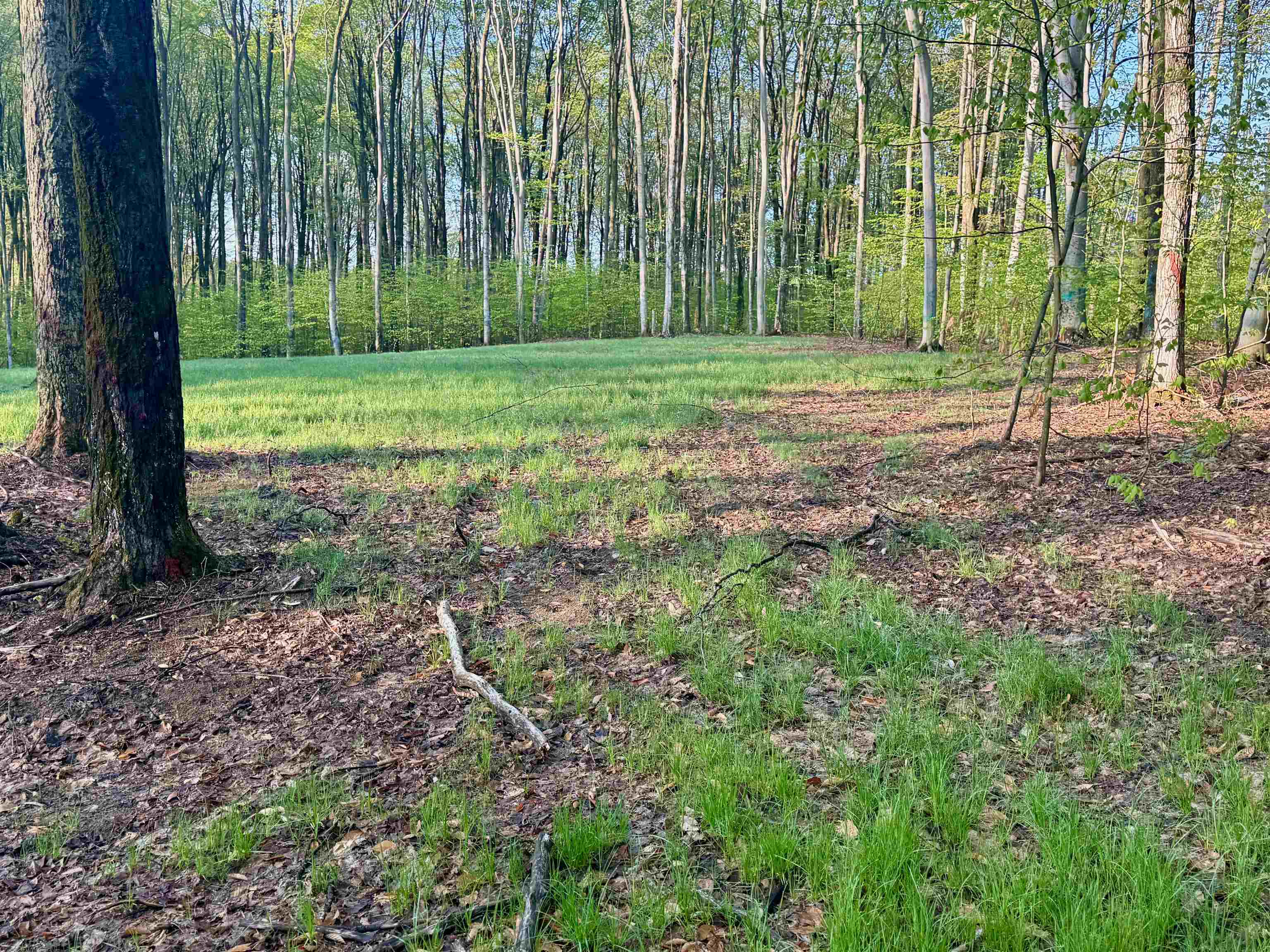 02 S Bright Road, Maple City, MI, 49664